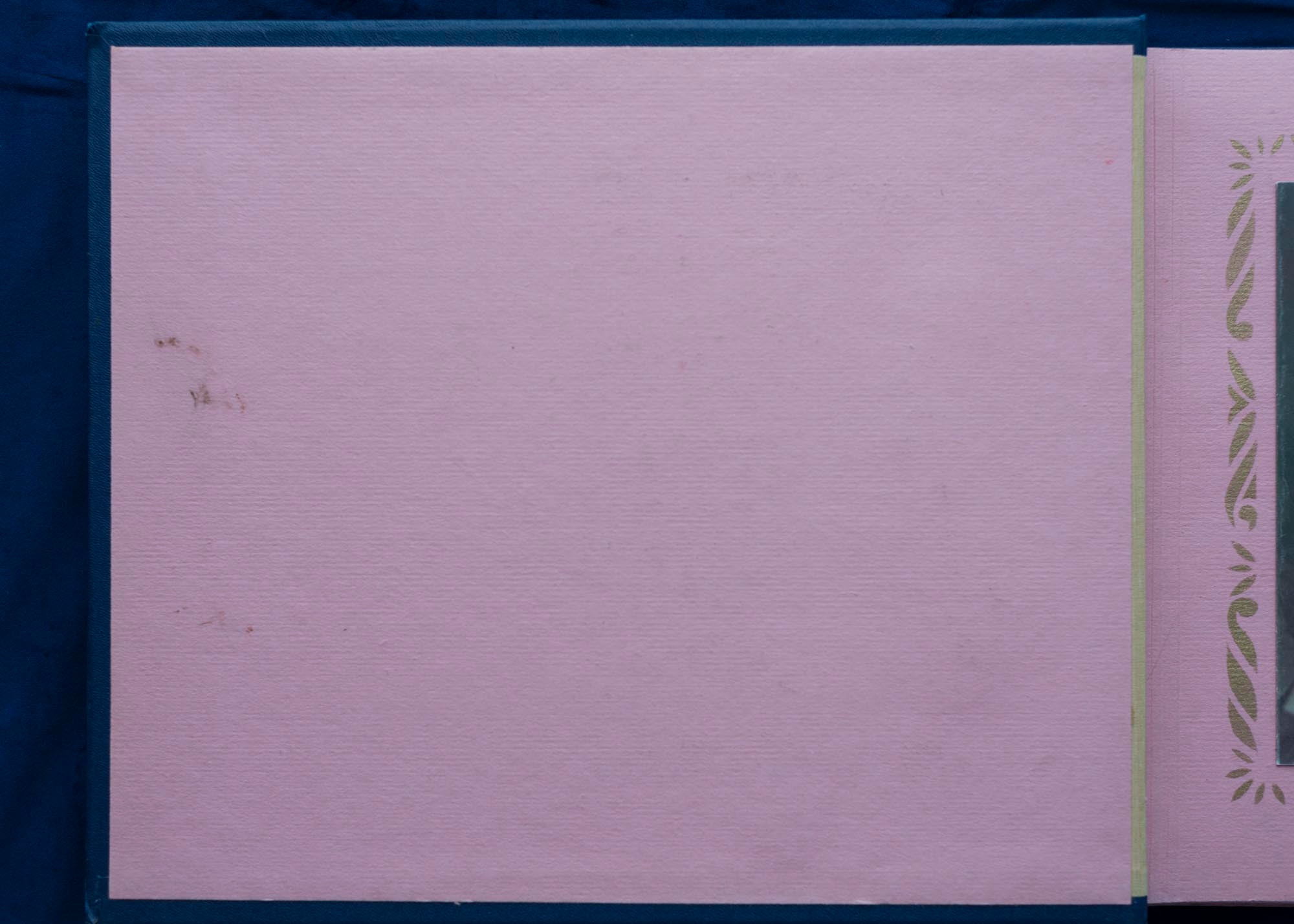 Юбилейный альбом, 1989 г. Plechinta Ekaterina documentary photographer