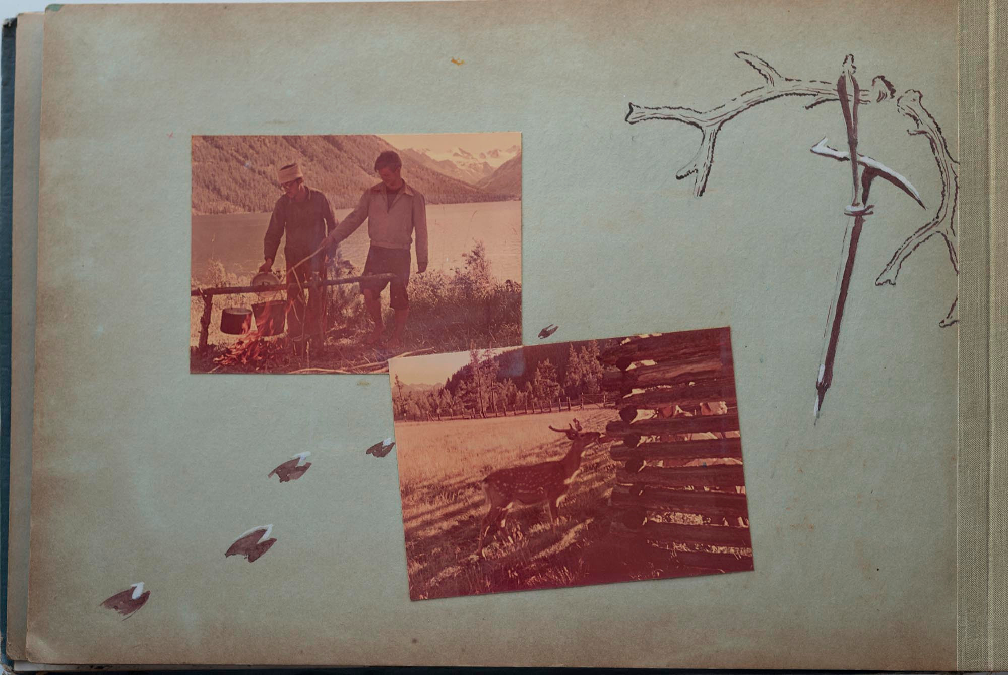 Альбом о путешествиях по Алтаю 1958–1960 гг. Plechinta Ekaterina documentary photographer