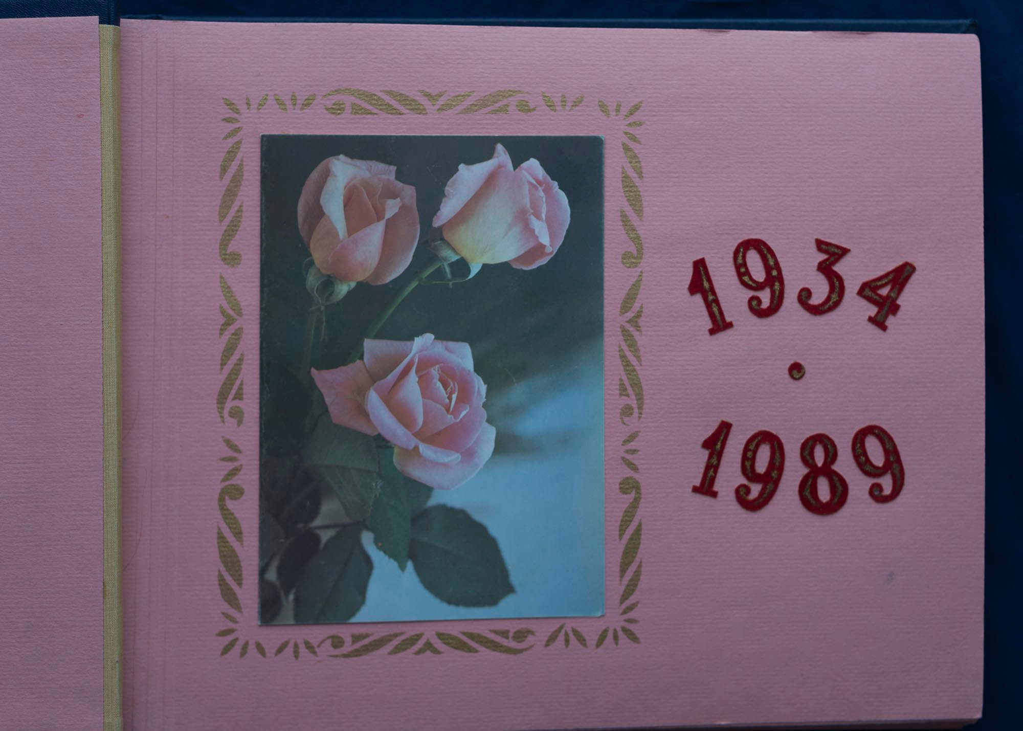 Юбилейный альбом, 1989 г. Plechinta Ekaterina documentary photographer