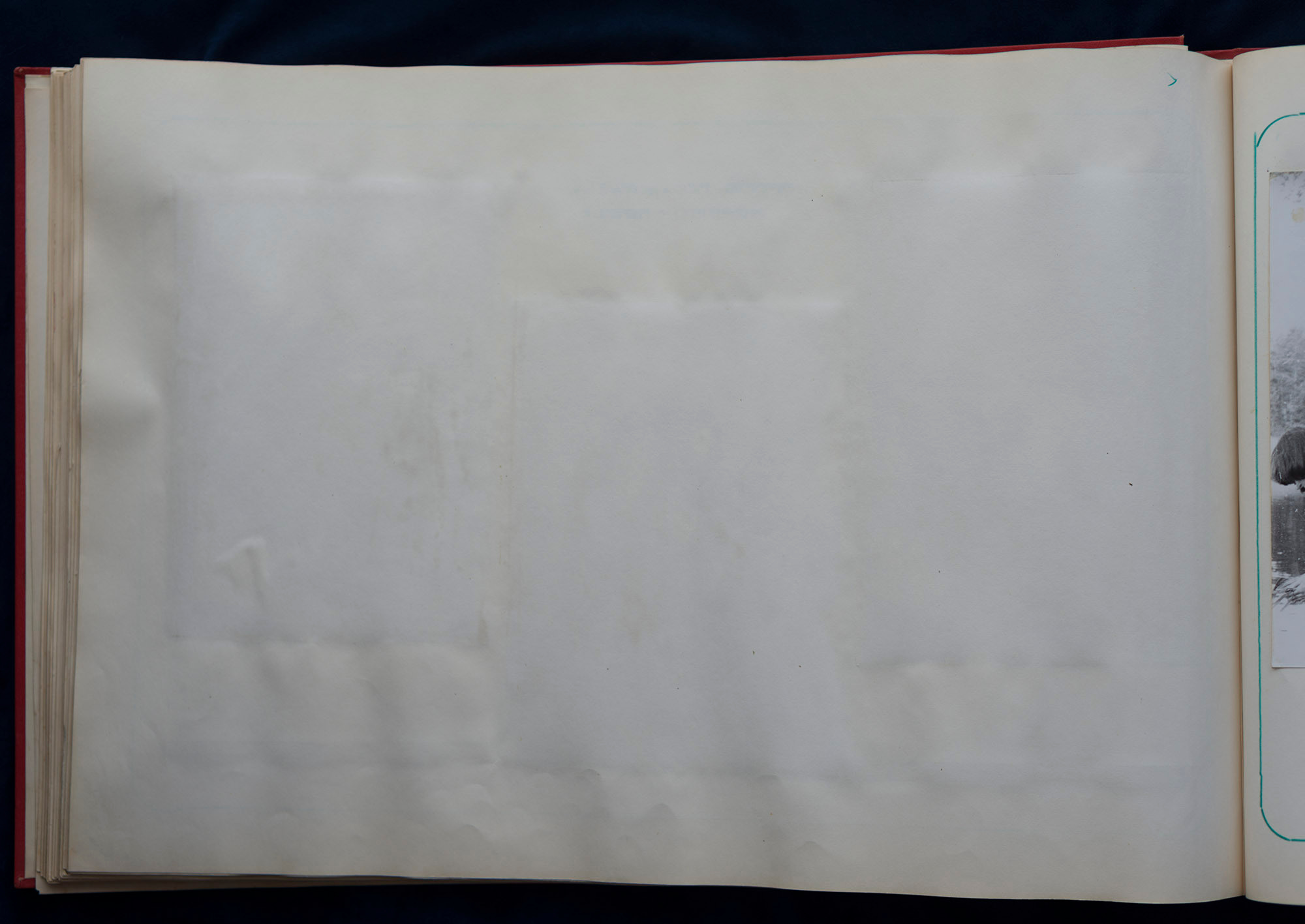 Пионерский лагерь «Парус», 1980 г. Plechinta Ekaterina — documentary photographer