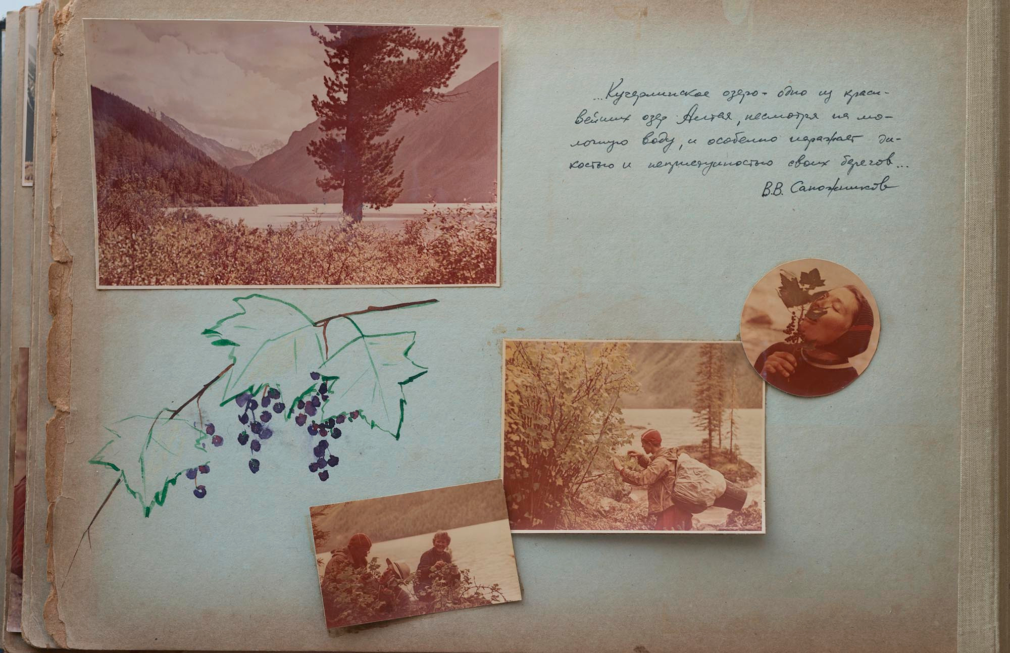 Альбом о путешествиях по Алтаю 1958–1960 гг. Plechinta Ekaterina documentary photographer