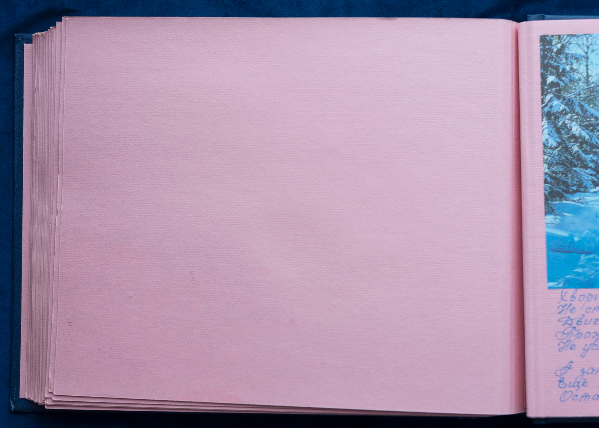 Юбилейный альбом, 1989 г. Plechinta Ekaterina documentary photographer