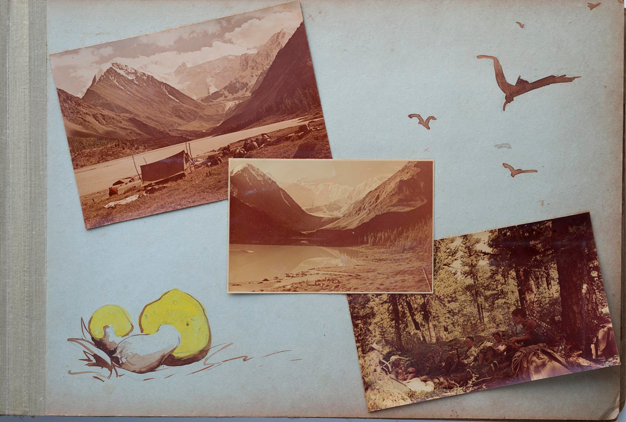 Альбом о путешествиях по Алтаю 1958–1960 гг. Plechinta Ekaterina documentary photographer