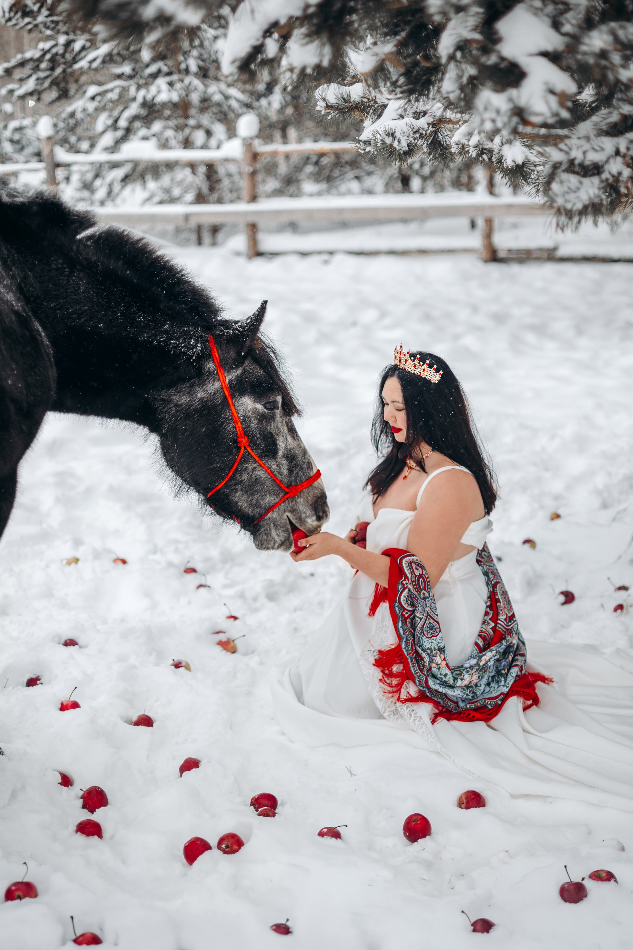 Яблоки на снегу. Анна Молчанова конный фотограф в Тюмени | фотосессии с лошадьми Тюмень