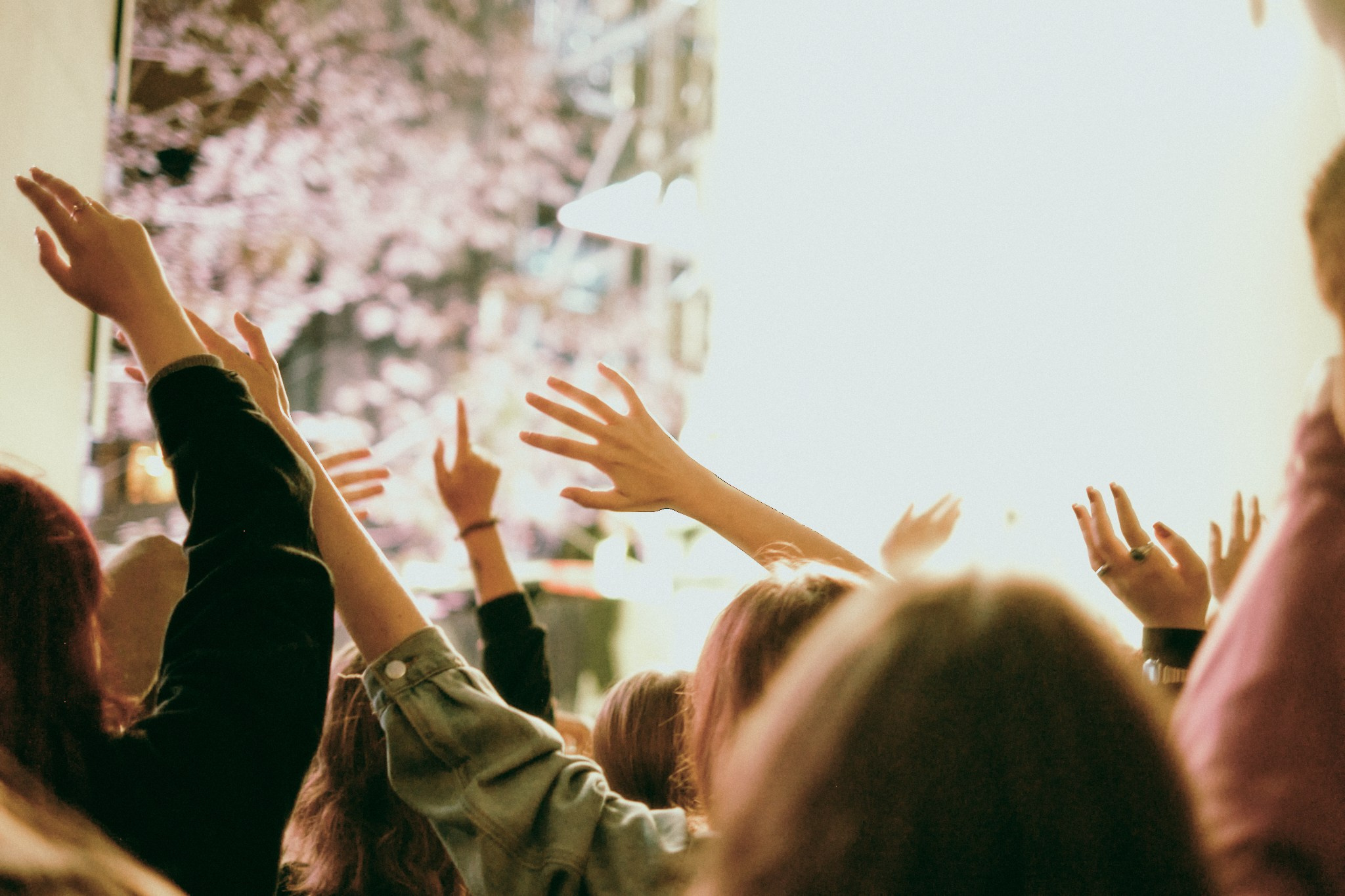 Концерт Антохи МС | 03.09.2025. Фотограф Аннё| Москва