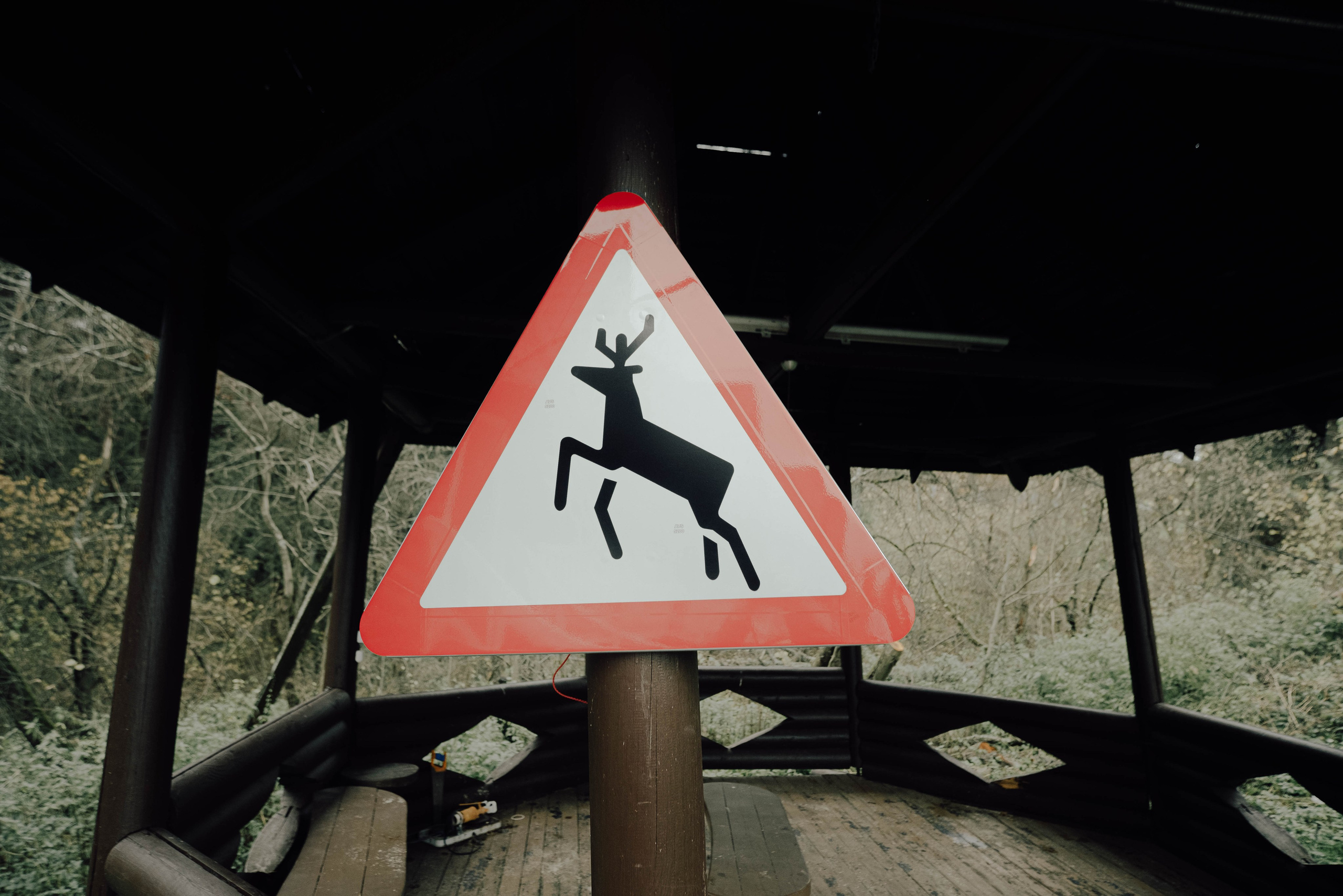 «52 герца». Фотограф Аннё| Москва