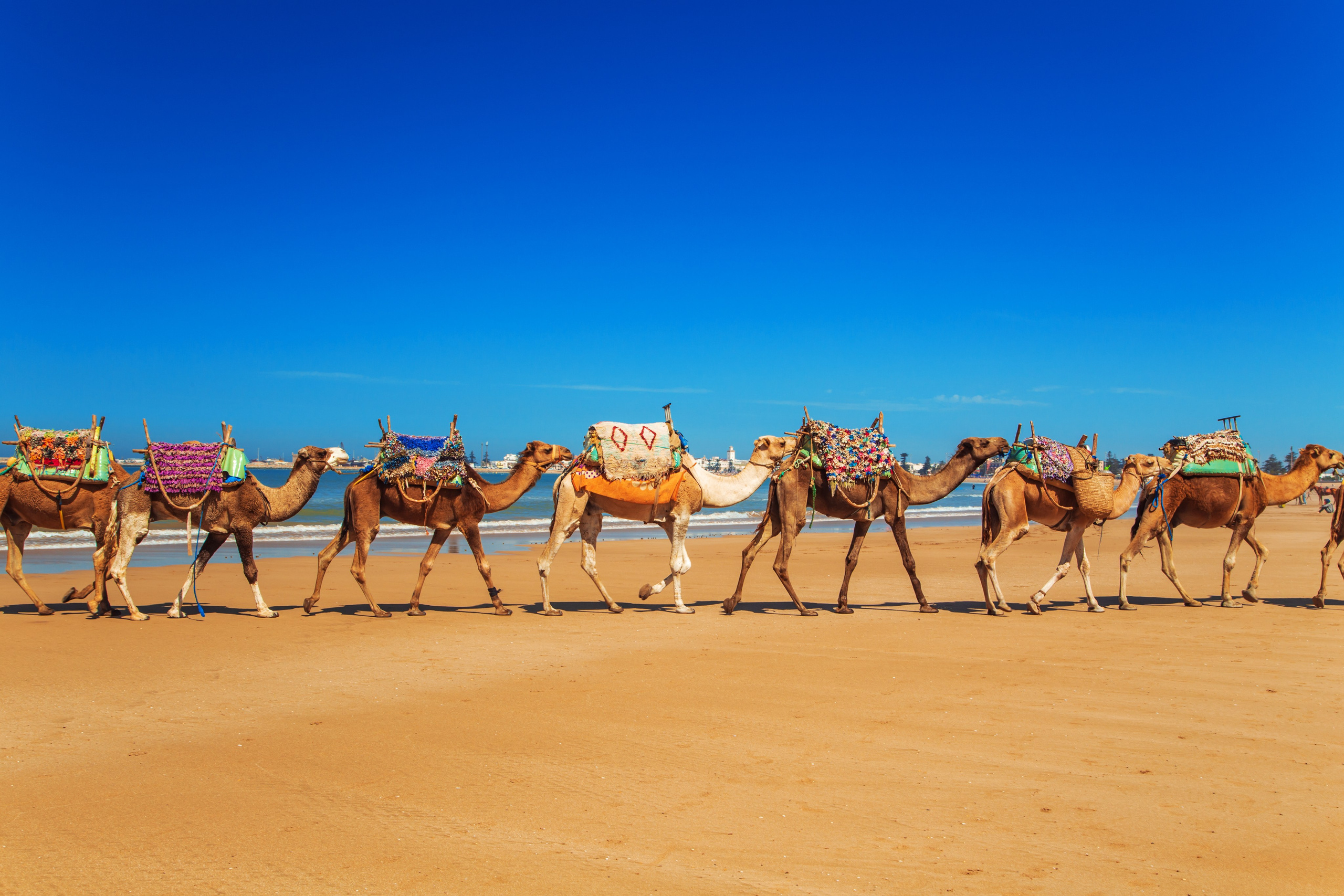Марокко. Тревел-фотограф Елизавета Ларионова