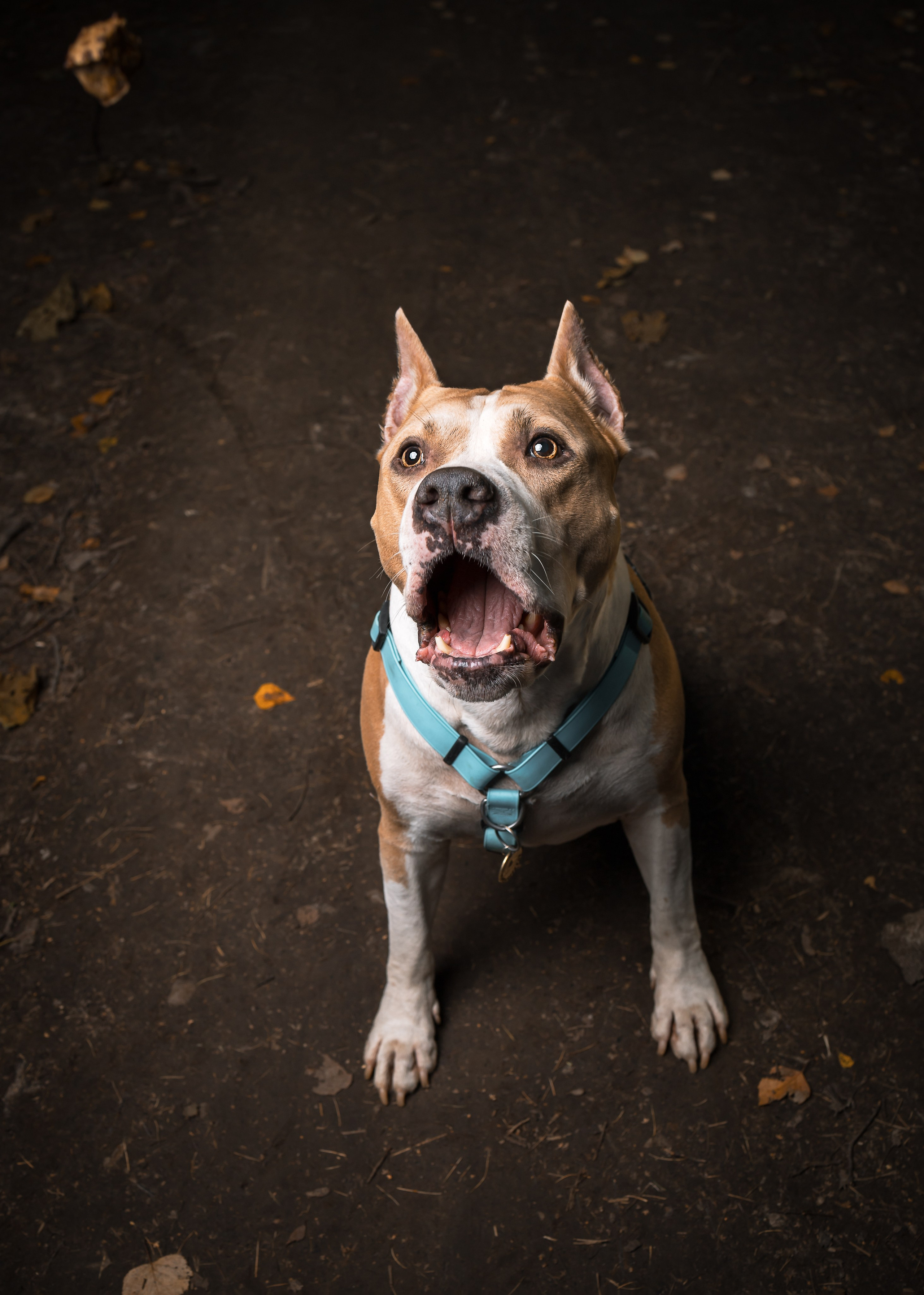 Портреты и постановочные съёмки. Портретный фотограф в Долгопрудном и Москве Иван Кабалин