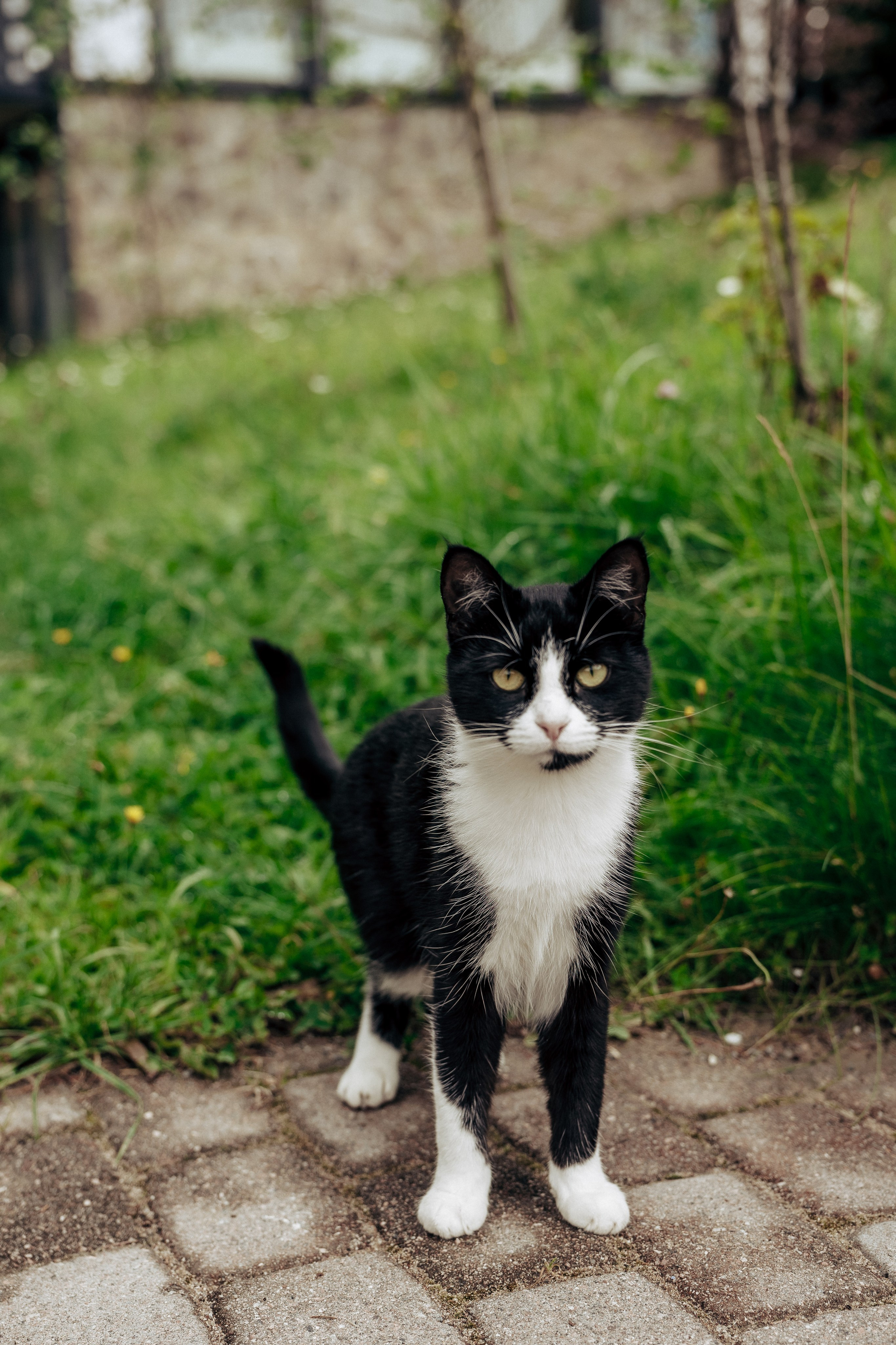 Корпоративная фотосессия в СПб и ЛО. Профессиональный фотограф в Санкт-Петербурге Александр Волосенцев