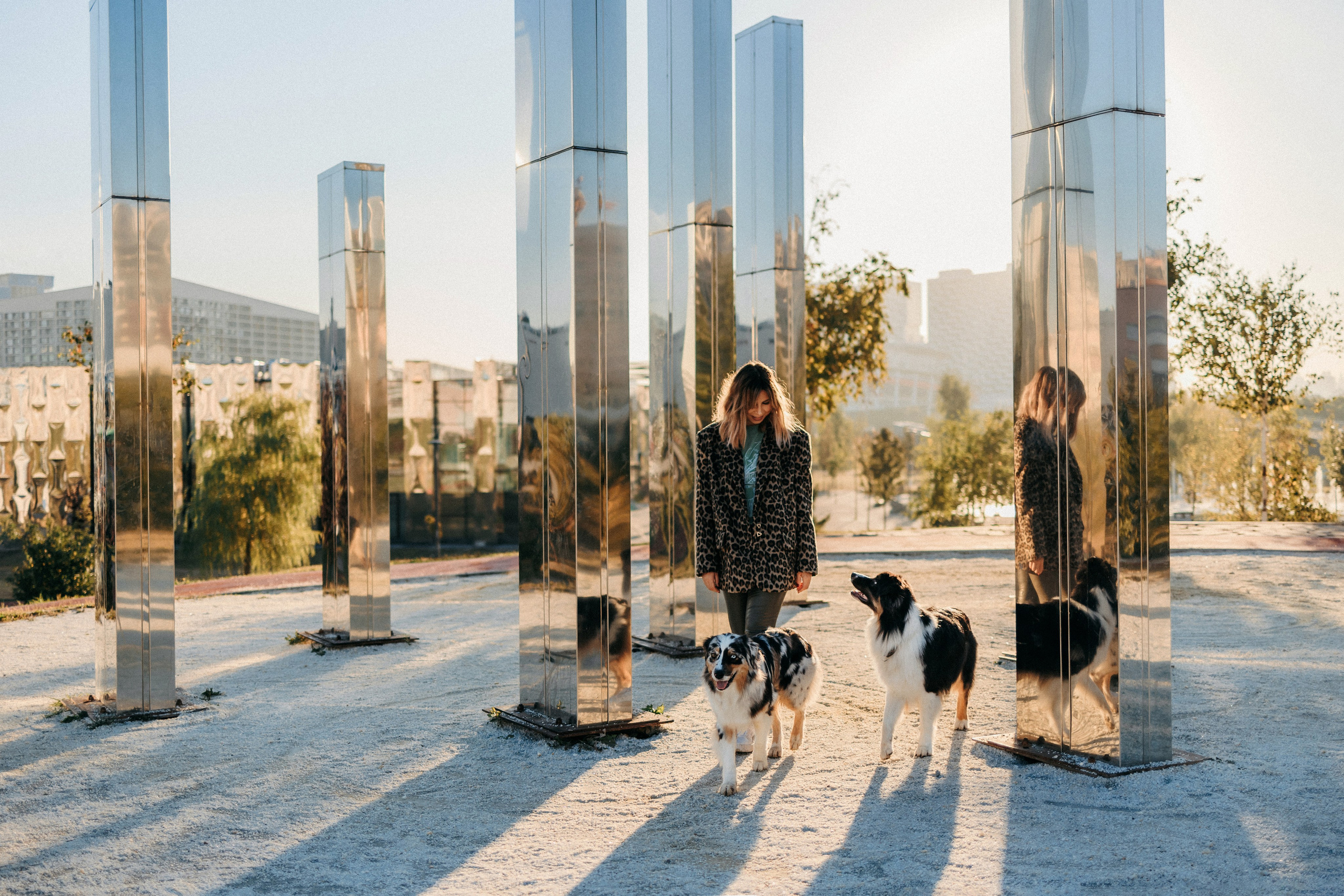 Аня, Чарли и Ева. Фотограф-анималист Елена Радченко, Москва