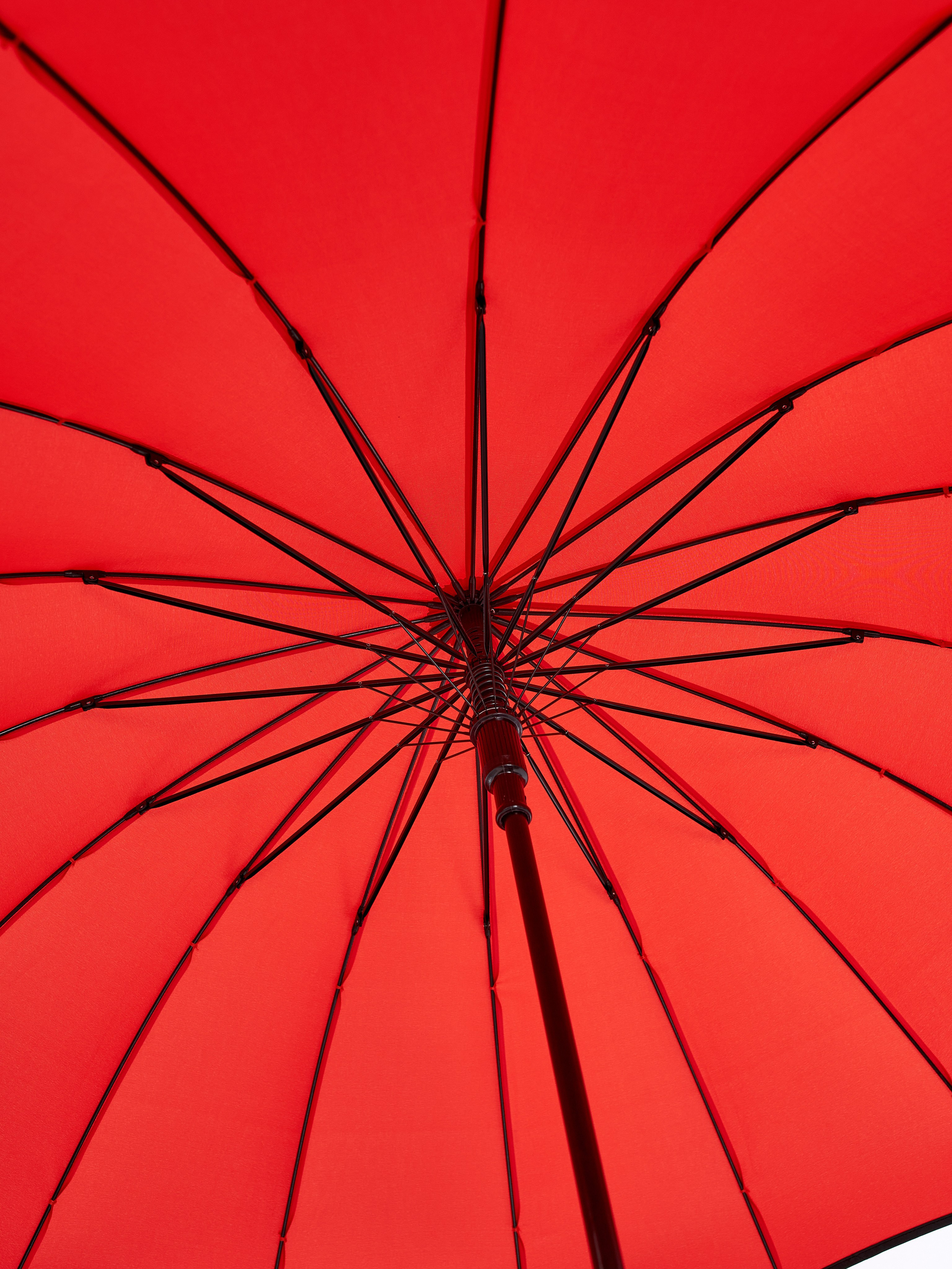 Dolphin. Zubkov Jan Hochzeitsfotograf Deutschland