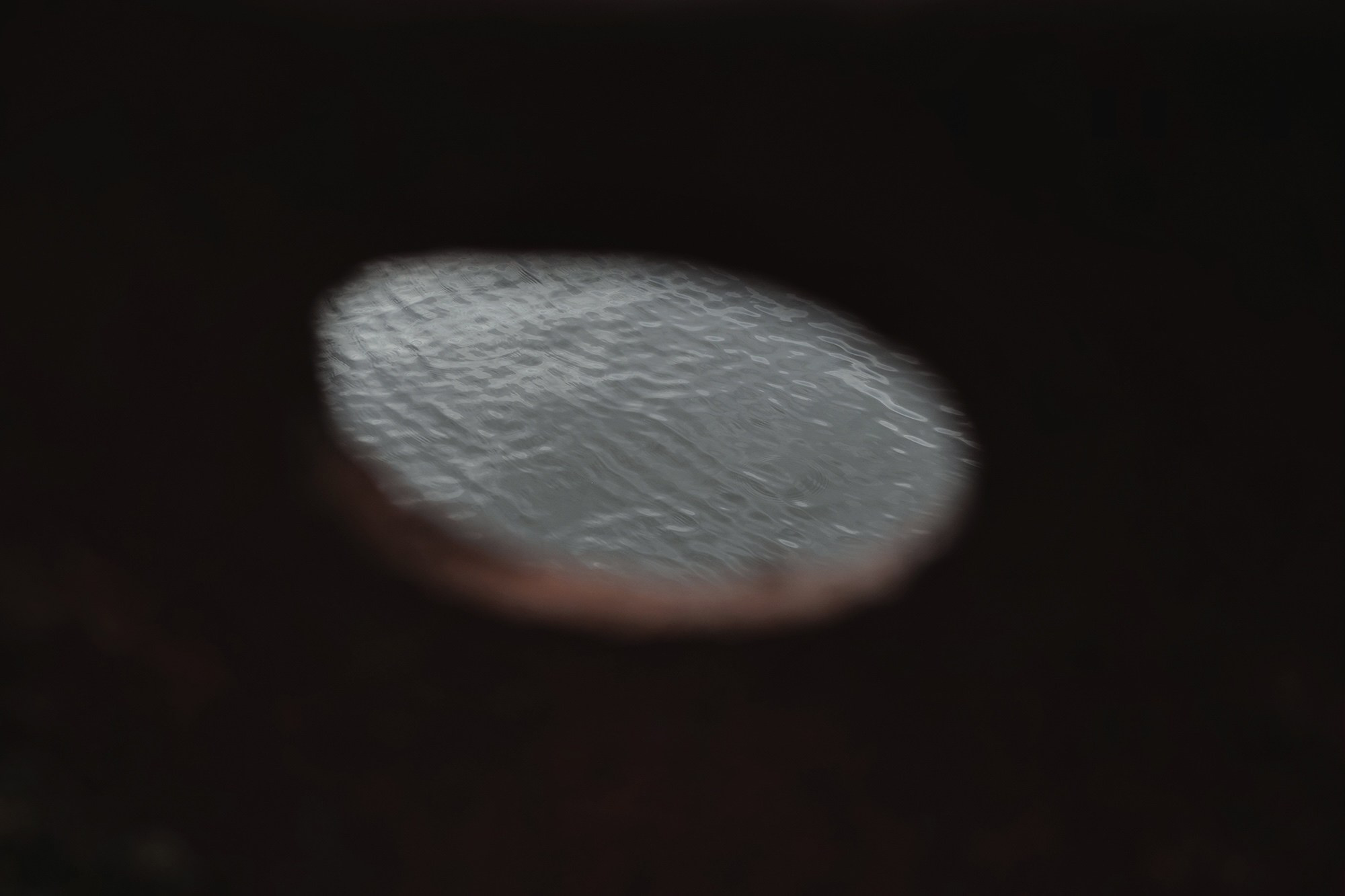 Sea, kind of. Daria Kryl