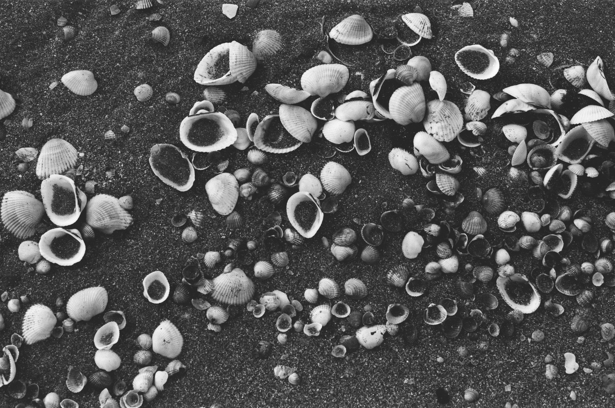 Move me // ukraine, crimea III. EVER EXPOSED