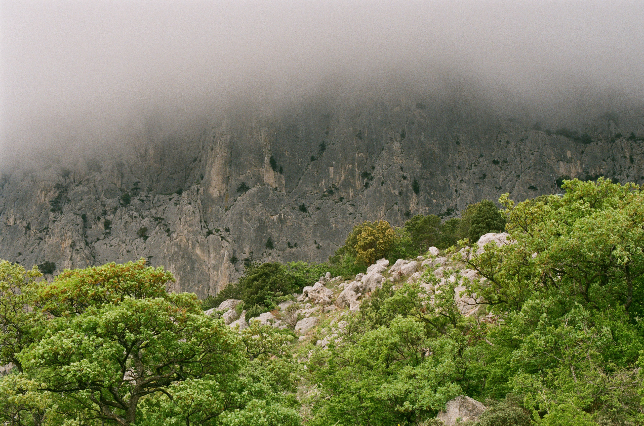 Follow you // ukraine, crimea III. EVER EXPOSED