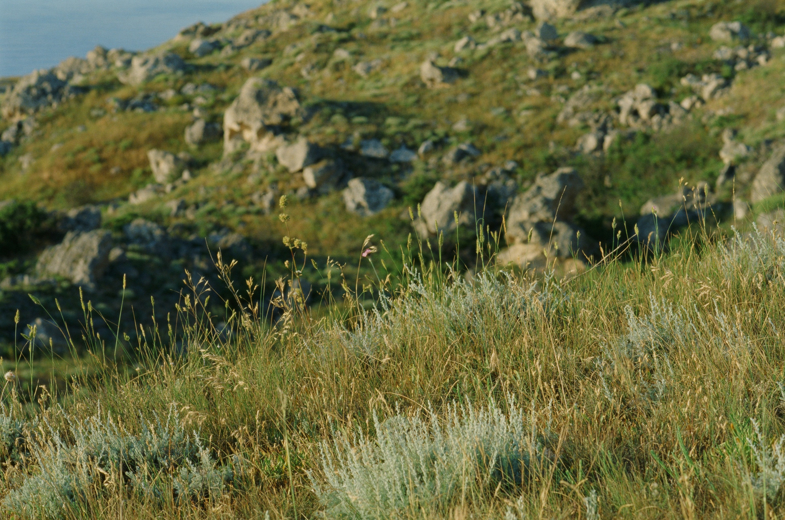 Dig it // ukraine, crimea V. EVER EXPOSED