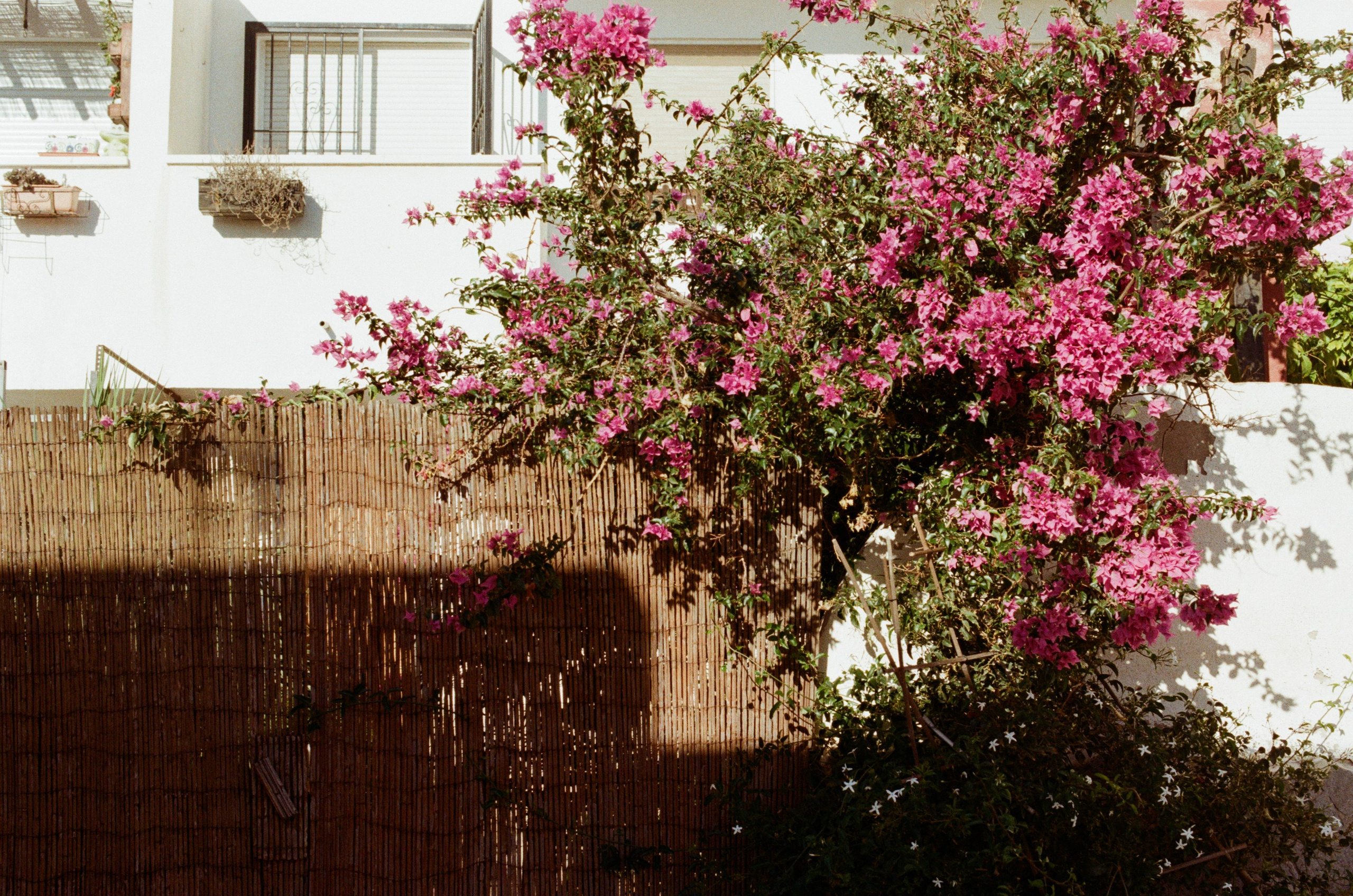 Spanish sahara // spain, pozo de los frailes. EVER EXPOSED