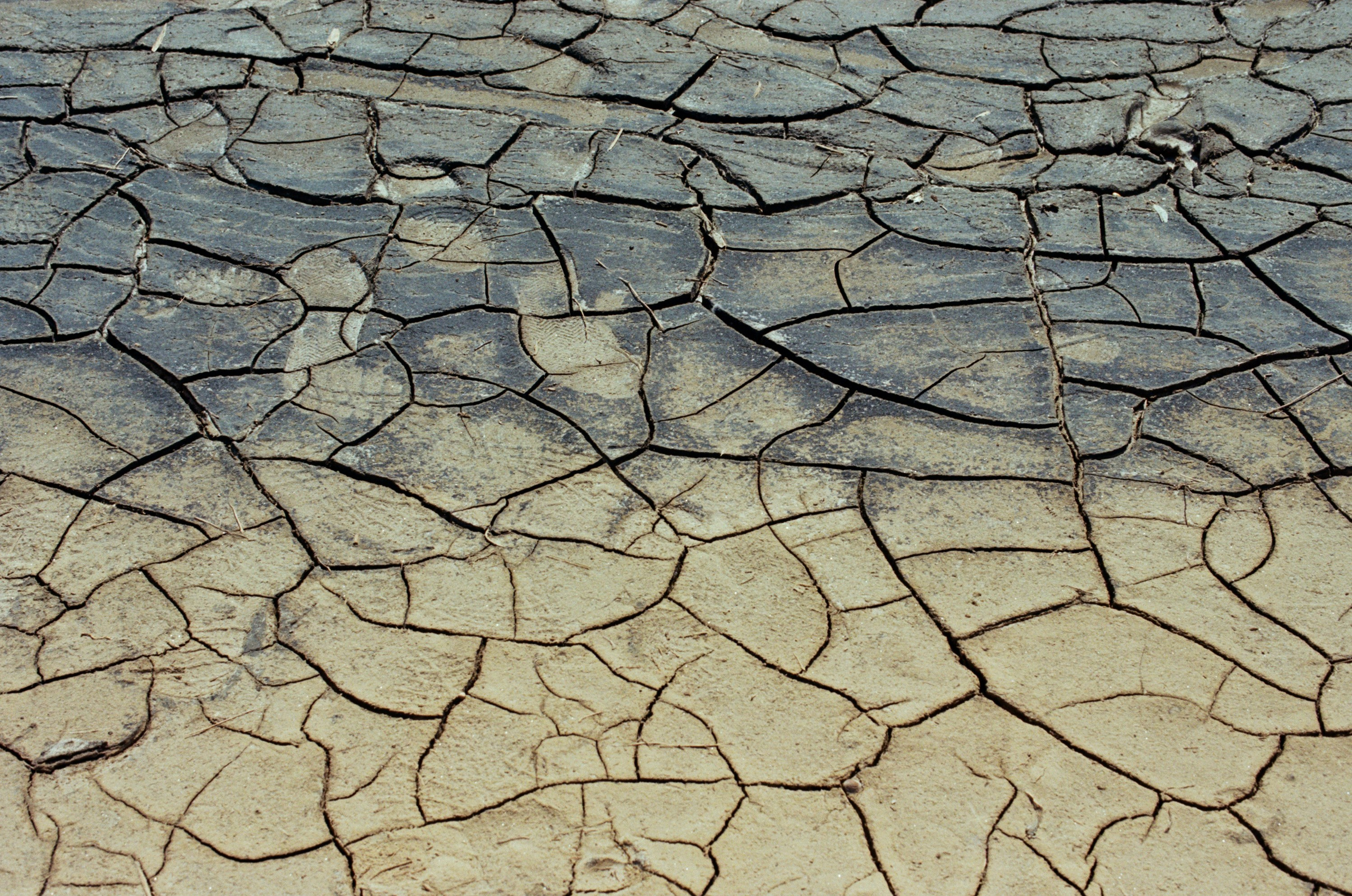 Dig it // ukraine, crimea IX. EVER EXPOSED