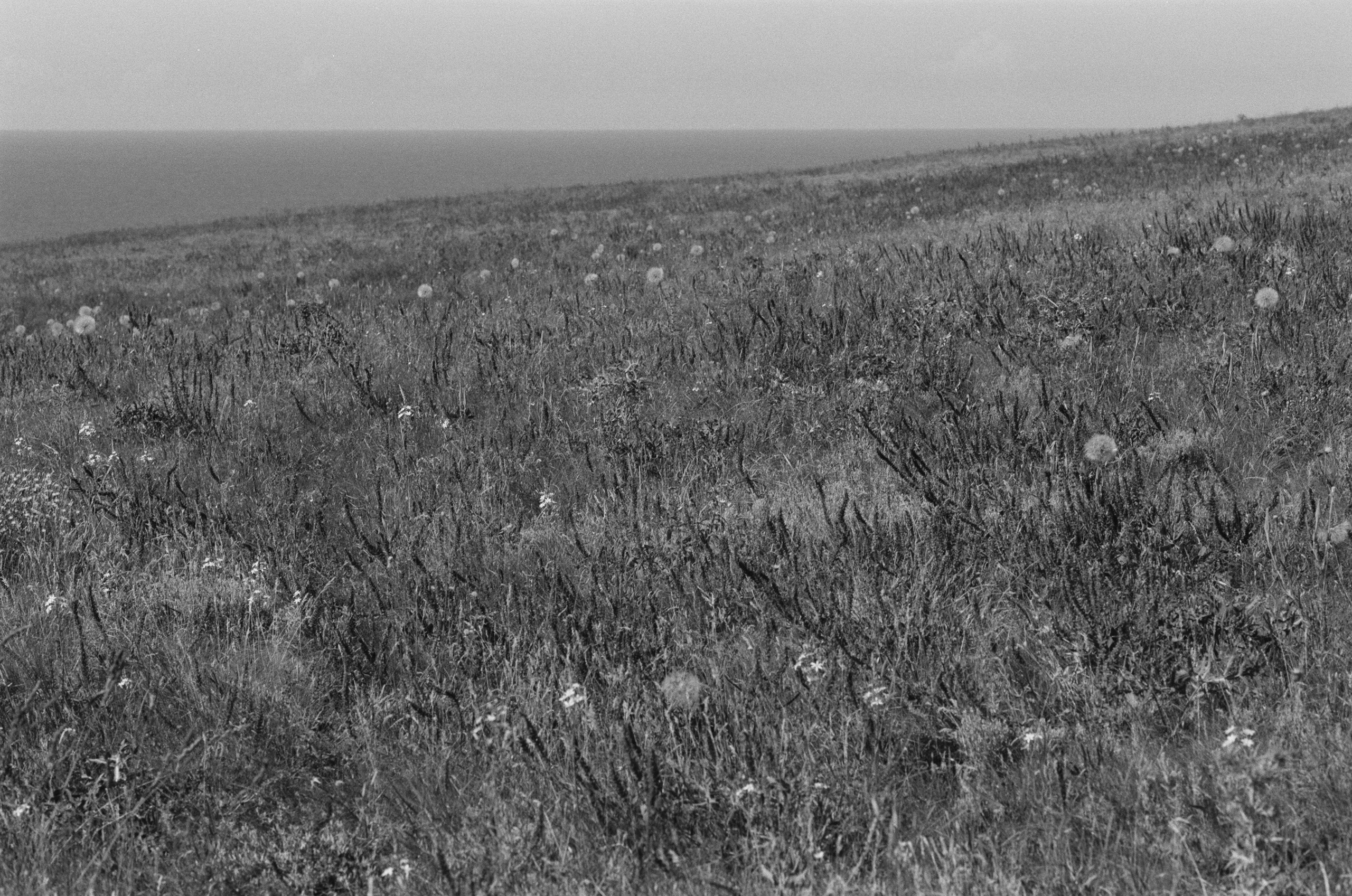 Plastinki // ukraine, crimea IV. EVER EXPOSED