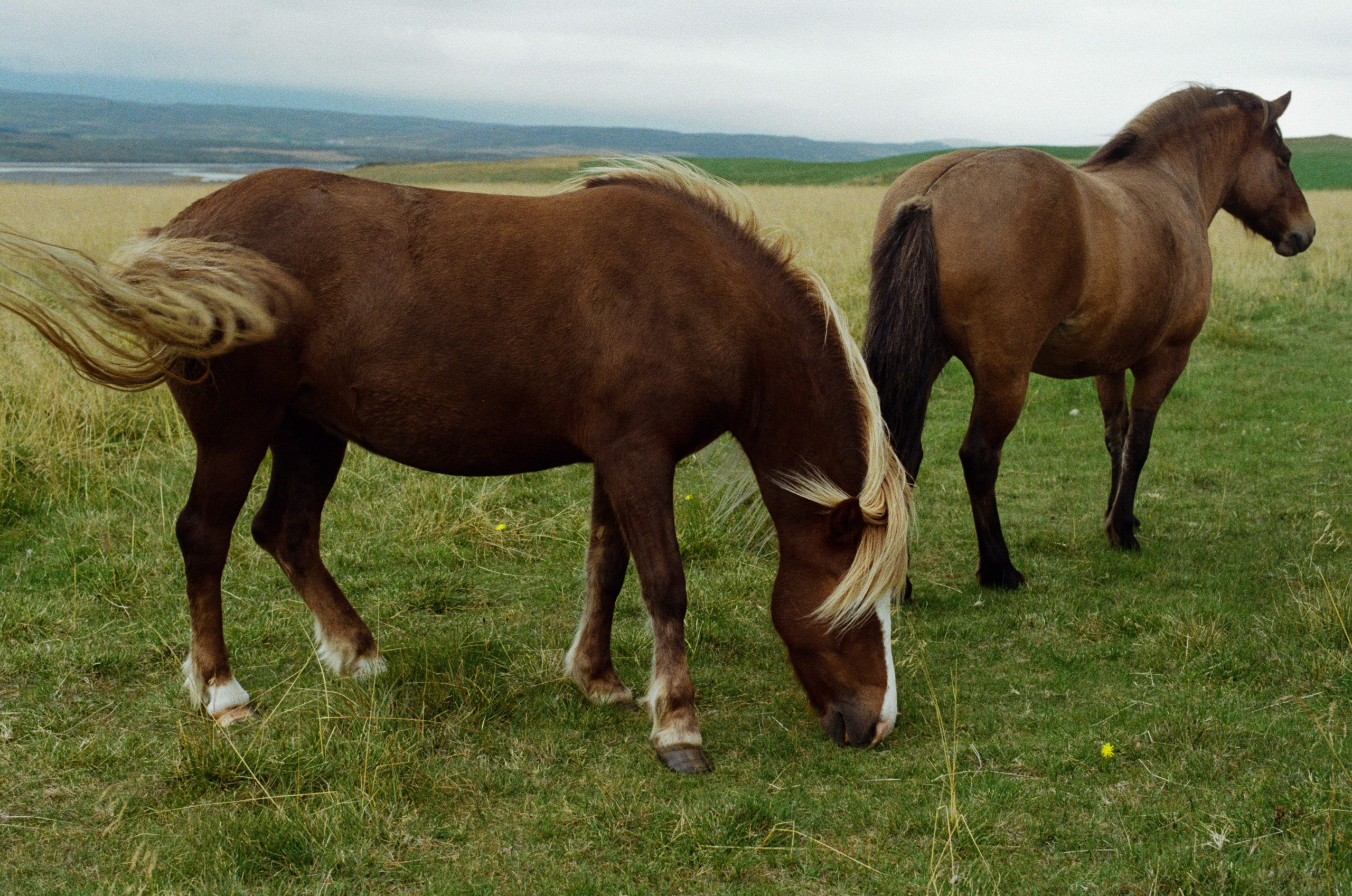 Bloodline // iceland. EVER EXPOSED