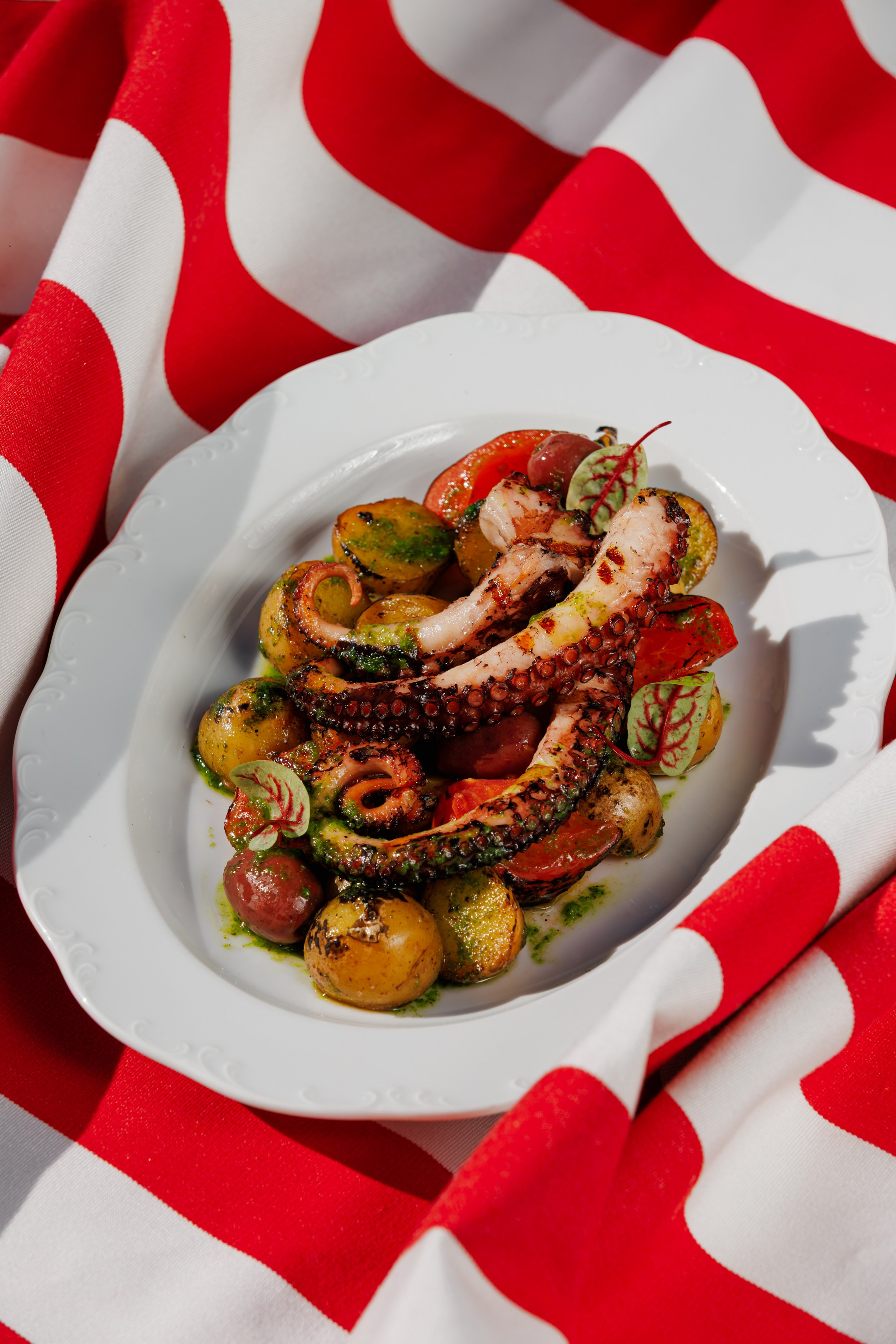 Muze Garden. Night2Day Санкт-Петербург