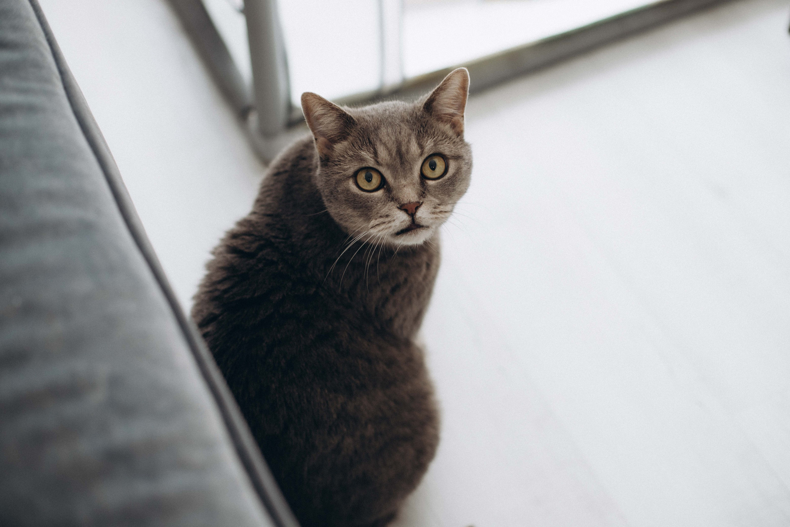 Андрею 1 годик. Фотограф Наталья Кургина Слюдянка Иркутск