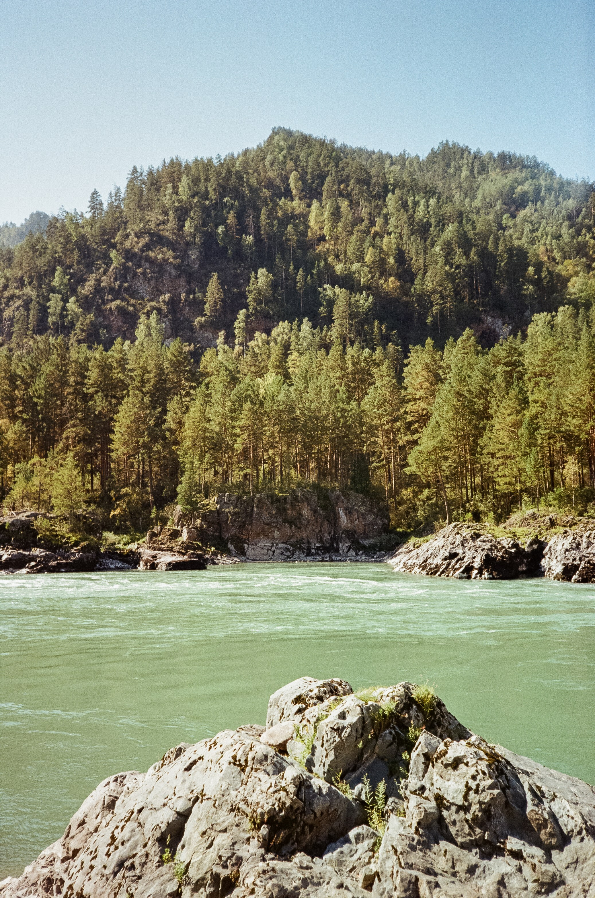 Кедровый остров. Бирюзовая Катунь. Фотограф-документалист Мария Осокина