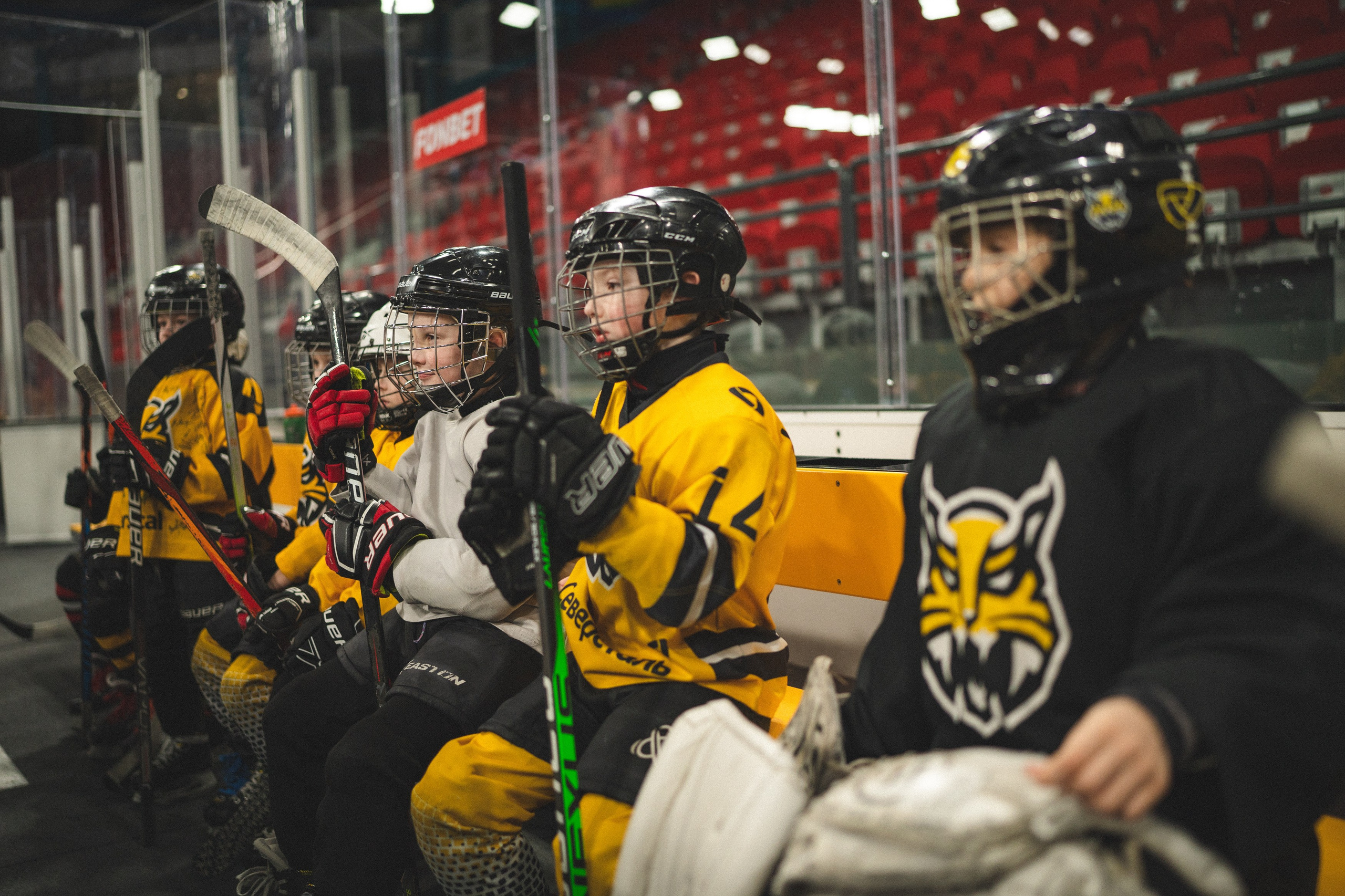 ХК Северсталь (младшая группа). Череповец. Zekons. Фото, видео, нейросети