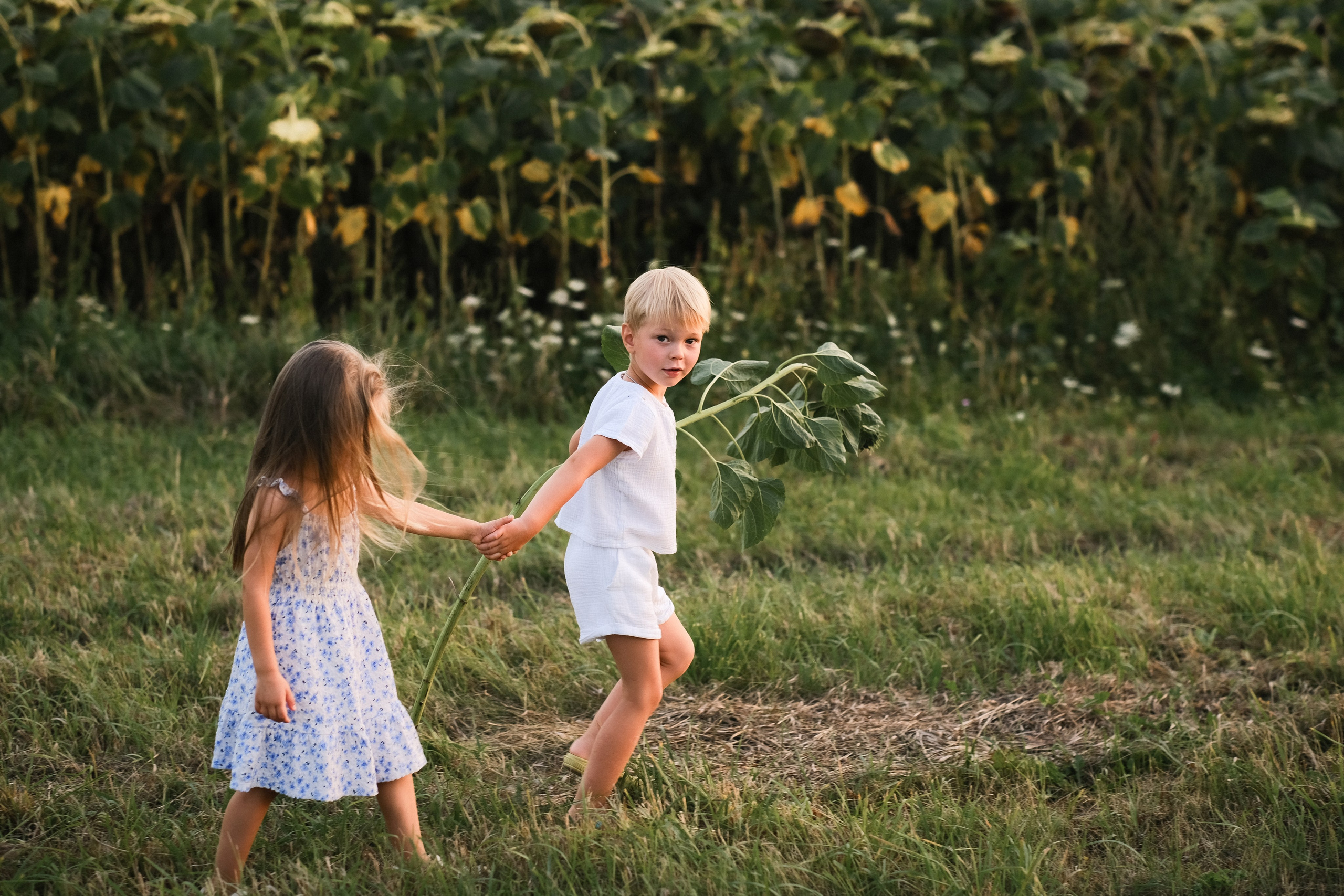 На закате лета. Главная