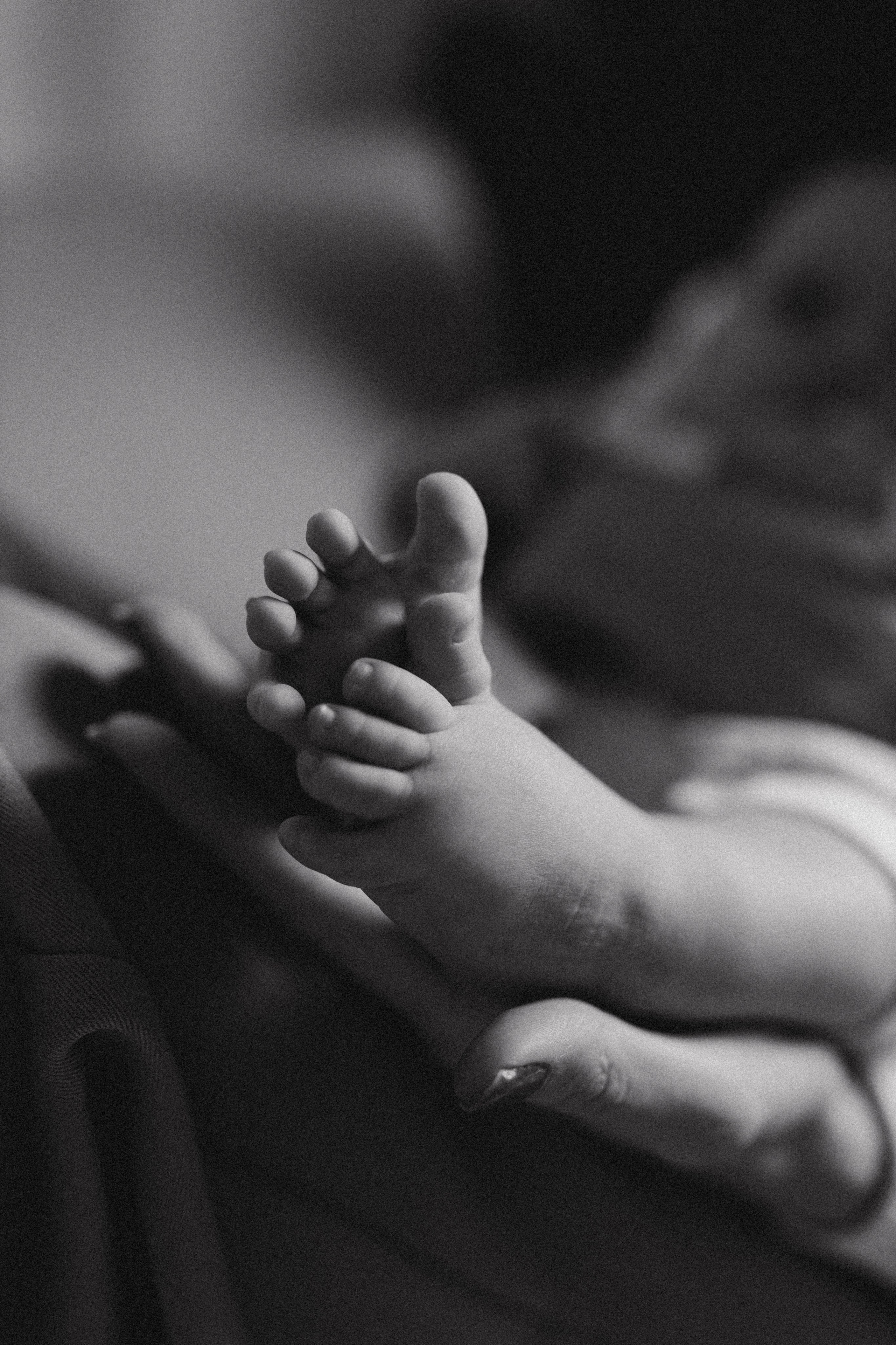 Женя и Максим. Фотограф в Петербурге Ольга Стрельченко