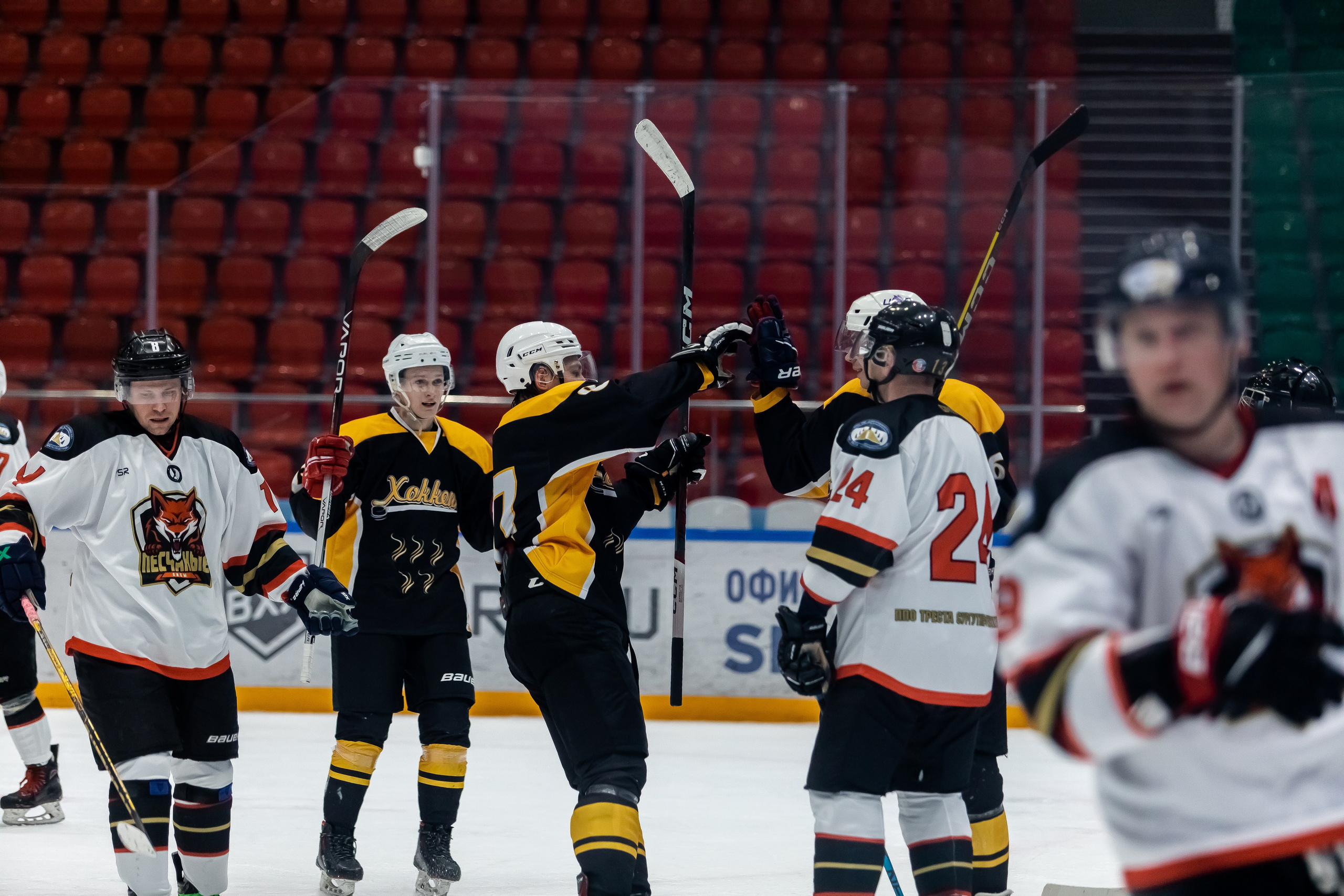 Хоккей. Фотограф Тимербаева Алина г. Сургут