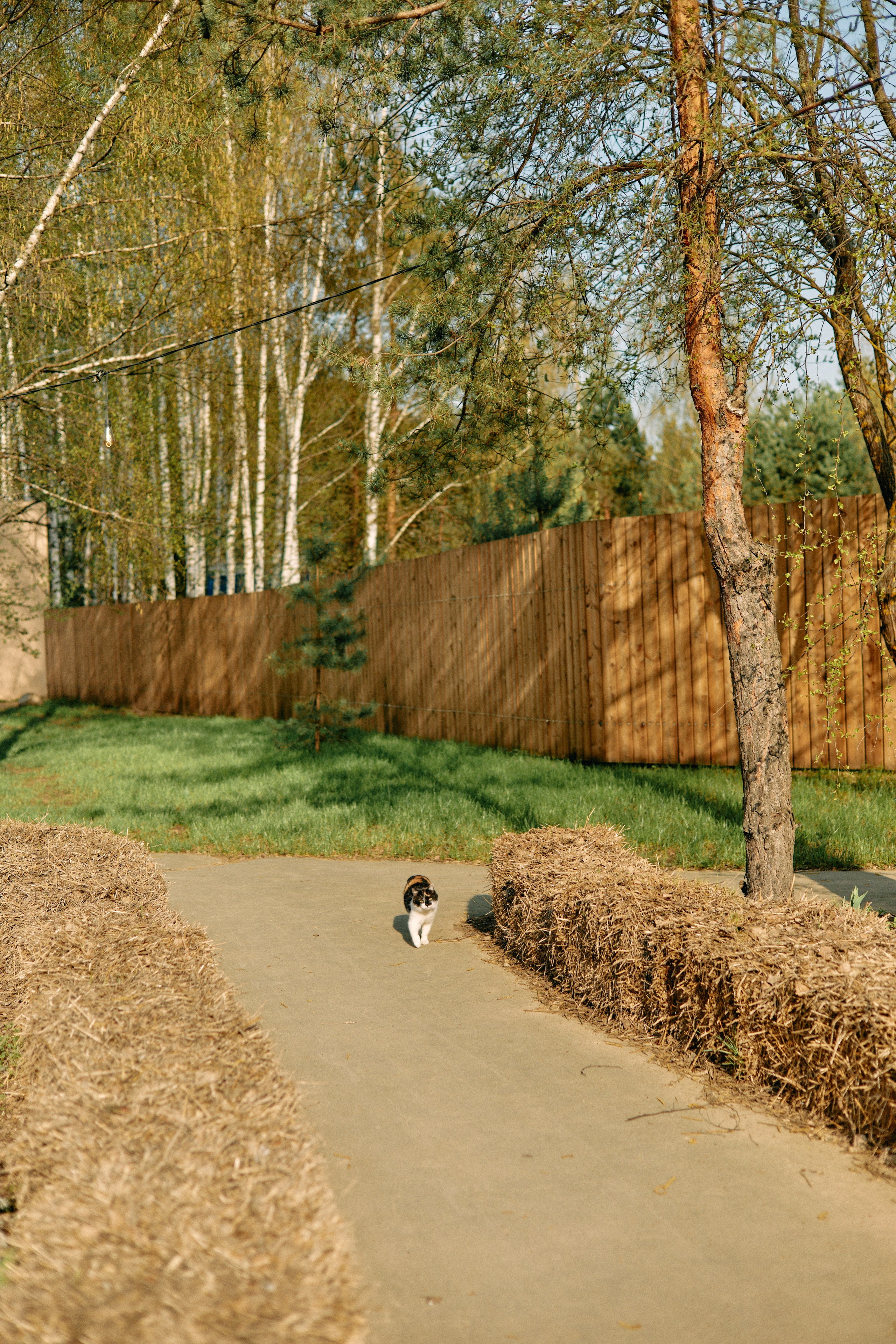 Бутик-отель Поле летом. Профессиональный Фотограф во Владимире, в Москве и в Суздале — Полина Романычева