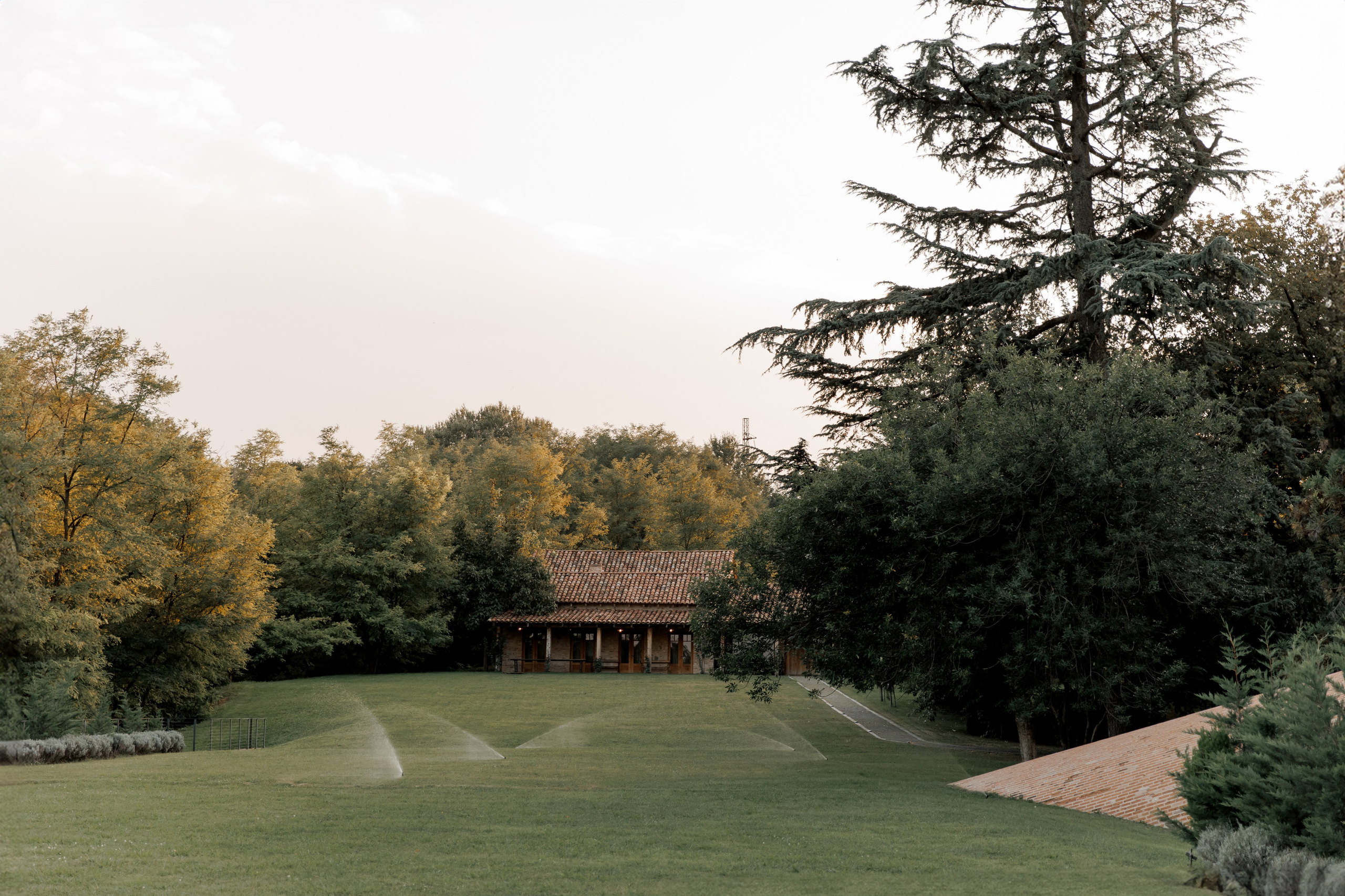 Grisha & Sonya. Anastasiya Krasnyuk