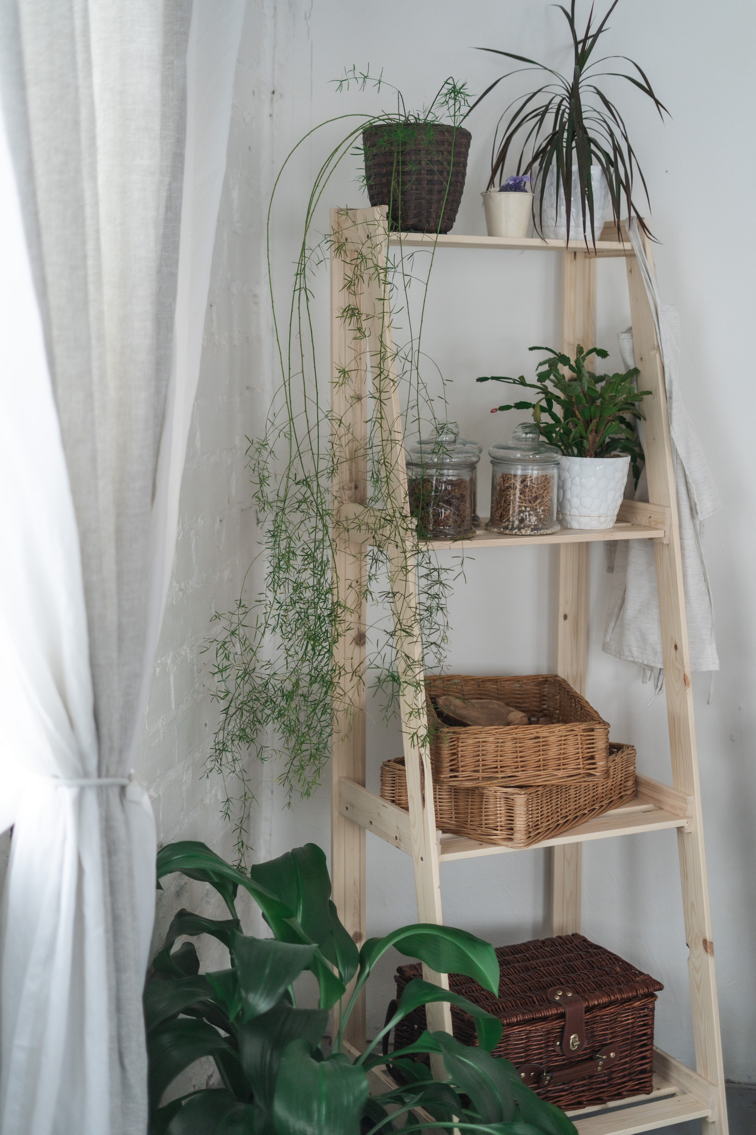 Зал Life фотостудия Импульс. Фотостудия в Саратове. Фотограф в Саратове