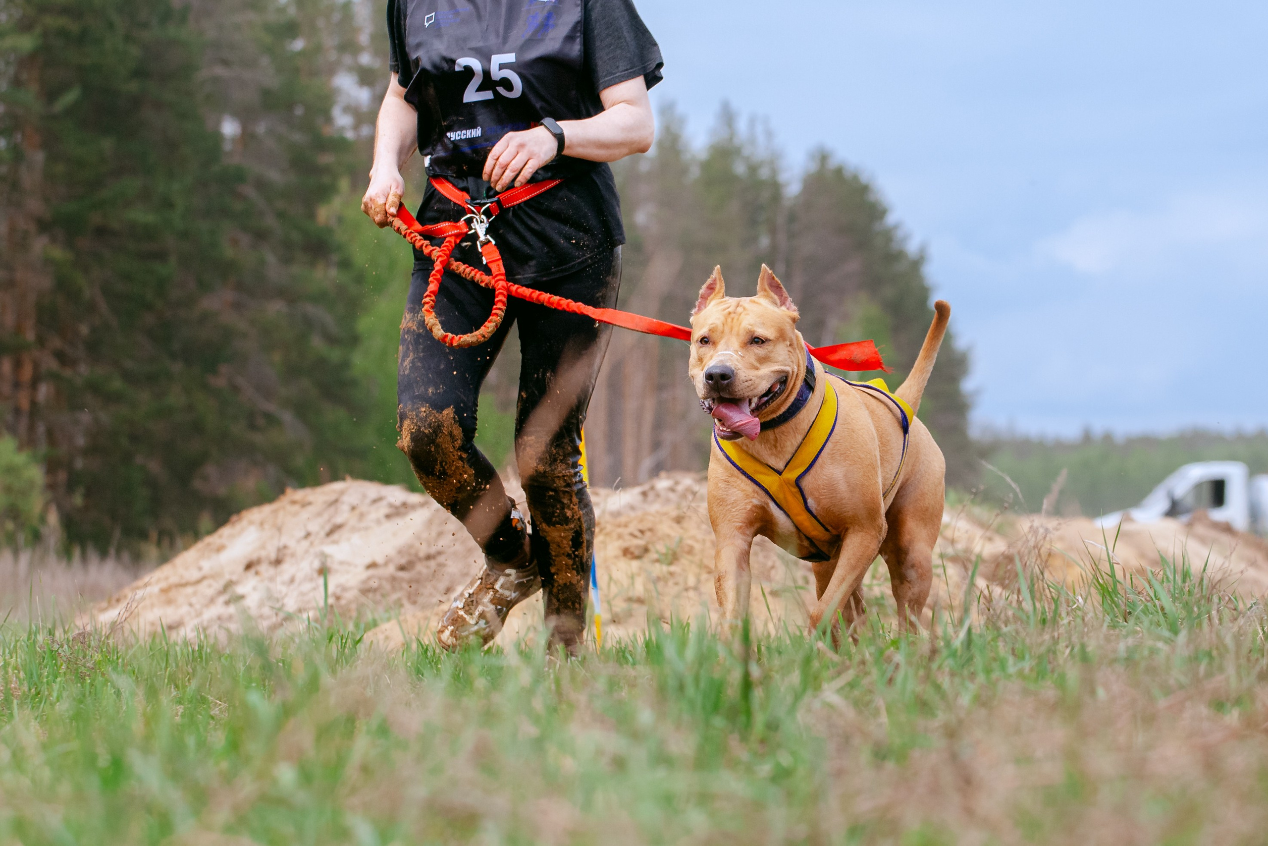 Русский экстрим кросс в Рязанской области 17.05.2025. Фотограф-анималист Татьяна Степанова