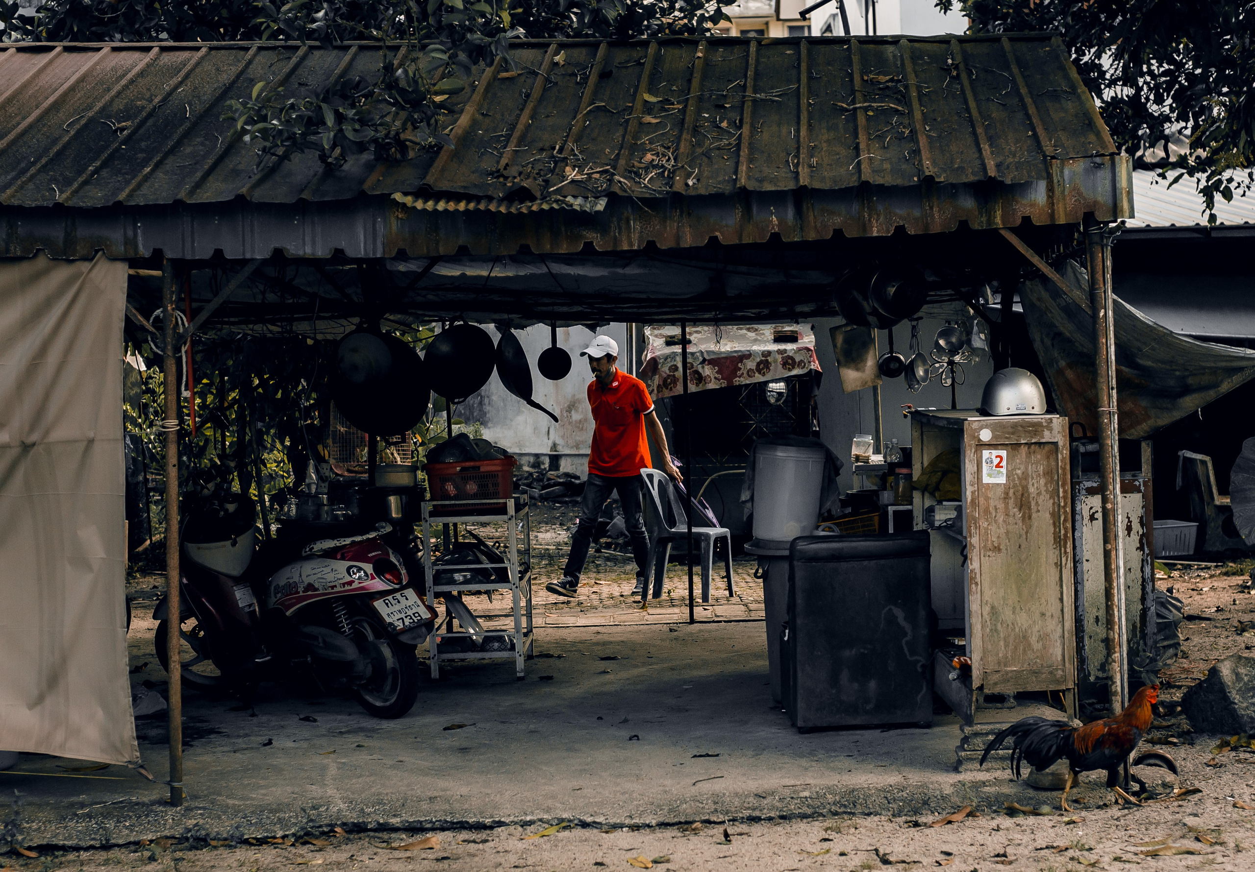 Thailand 2023, Samui. Art Photographer