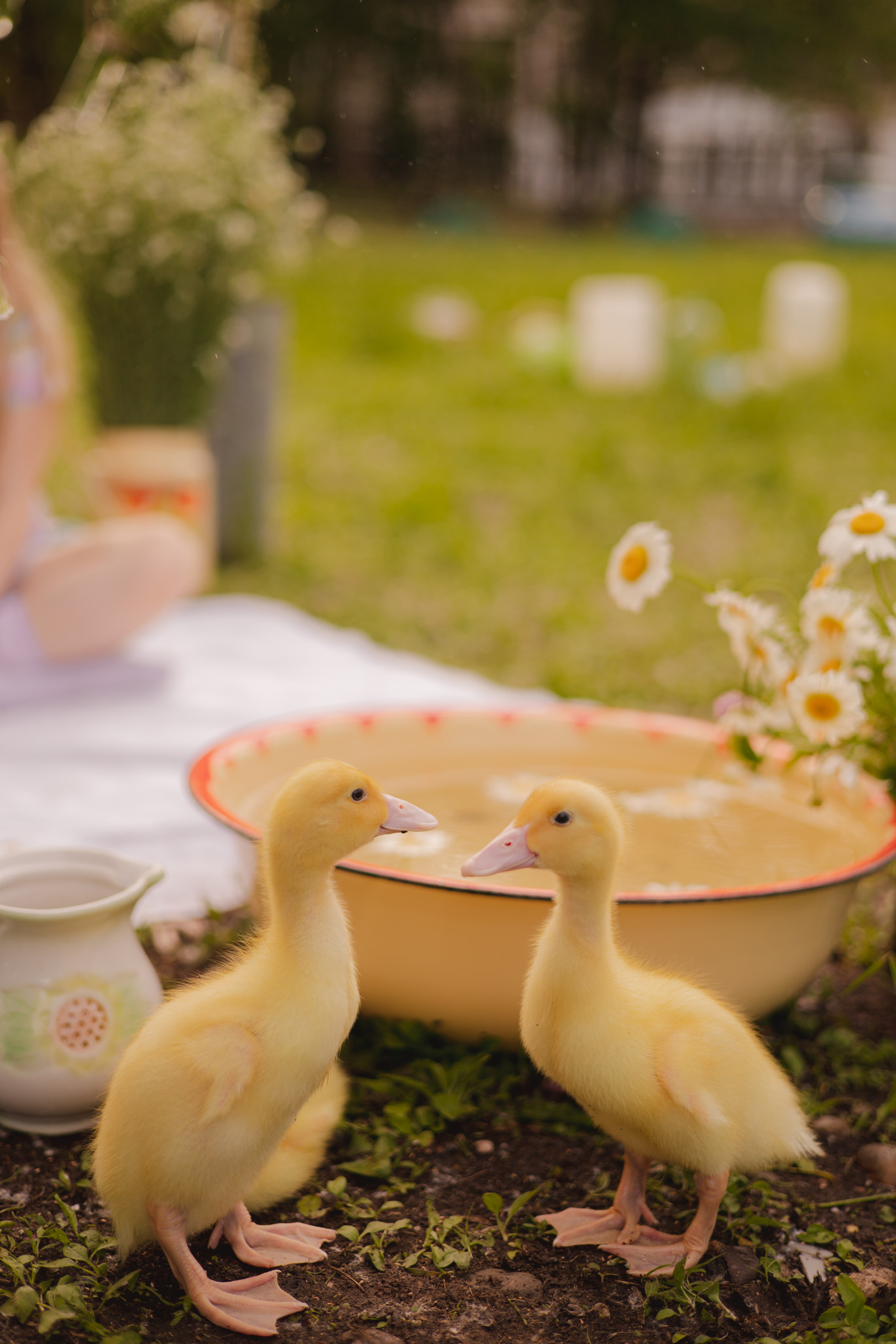 Детский фотограф биробиджан. Детский и семейный фотограф  Биробиджан Оля Светагор