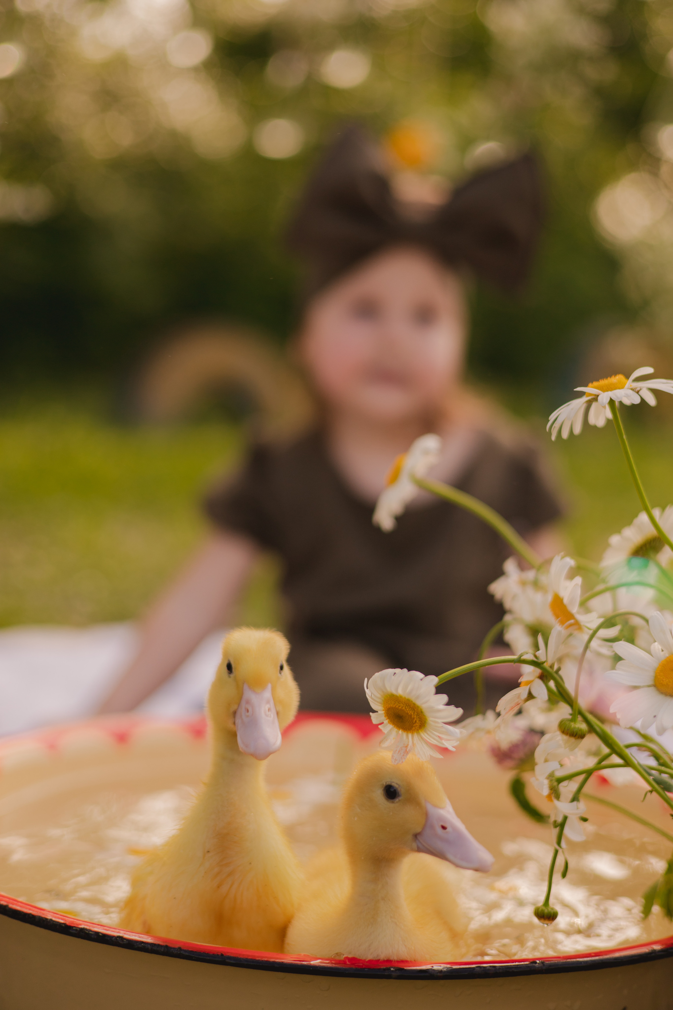 Детский фотограф биробиджан. Детский и семейный фотограф  Биробиджан Оля Светагор