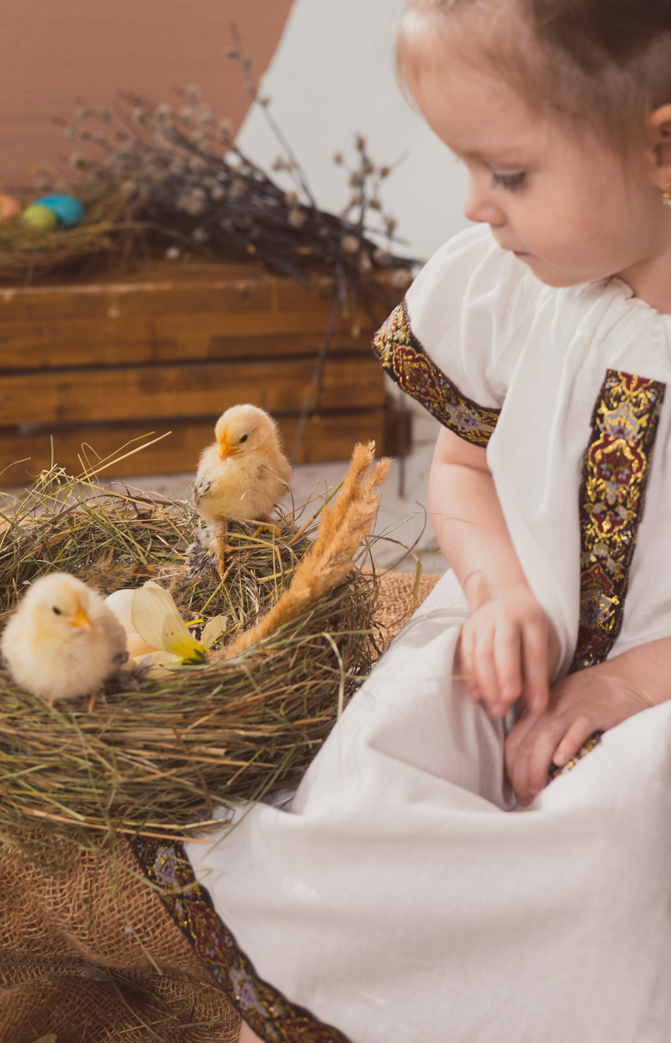 СТУДИЙНЫЕ. Детский и семейный фотограф  Биробиджан Оля Светагор