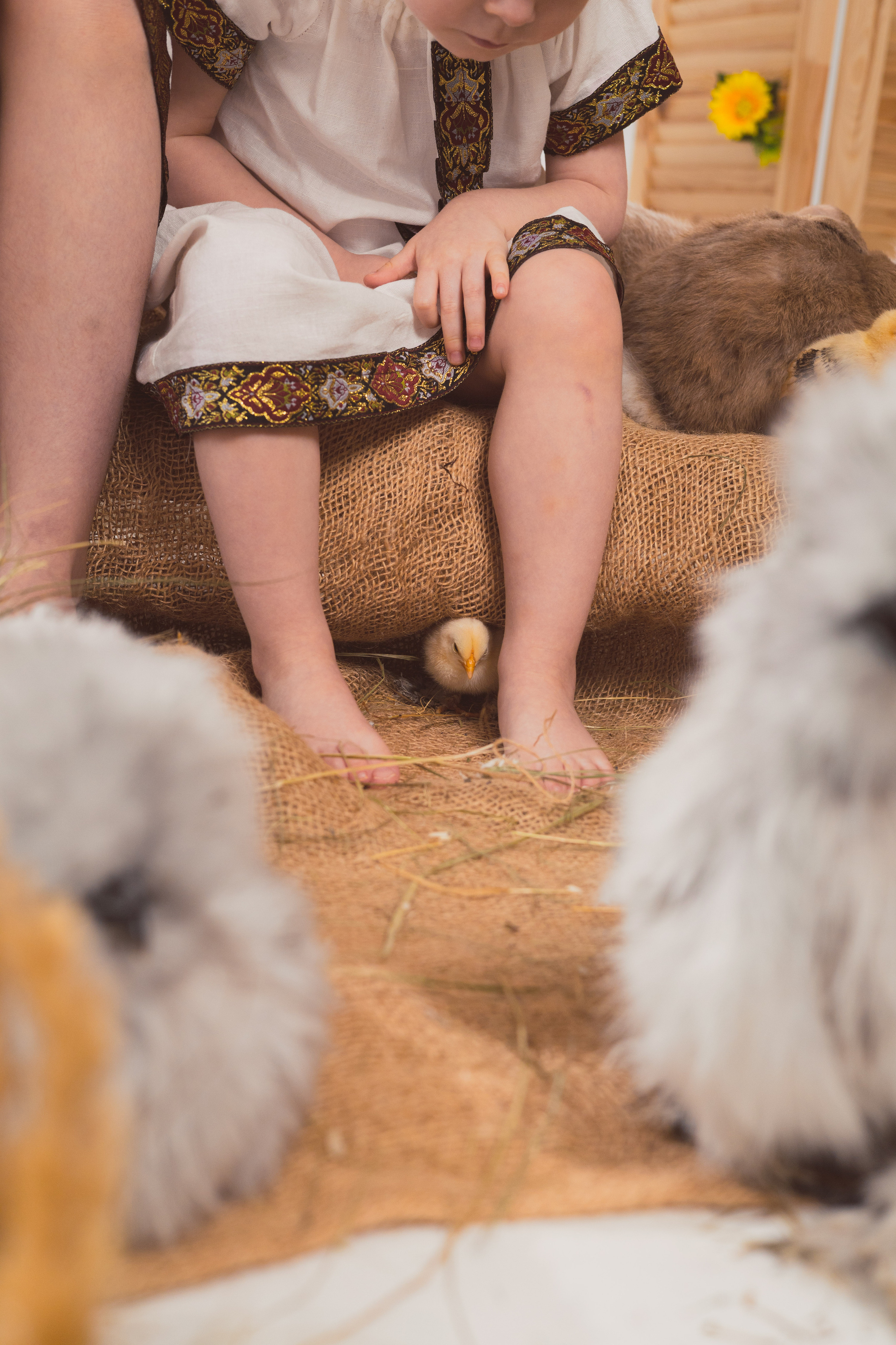 СТУДИЙНЫЕ. Детский и семейный фотограф  Биробиджан Оля Светагор