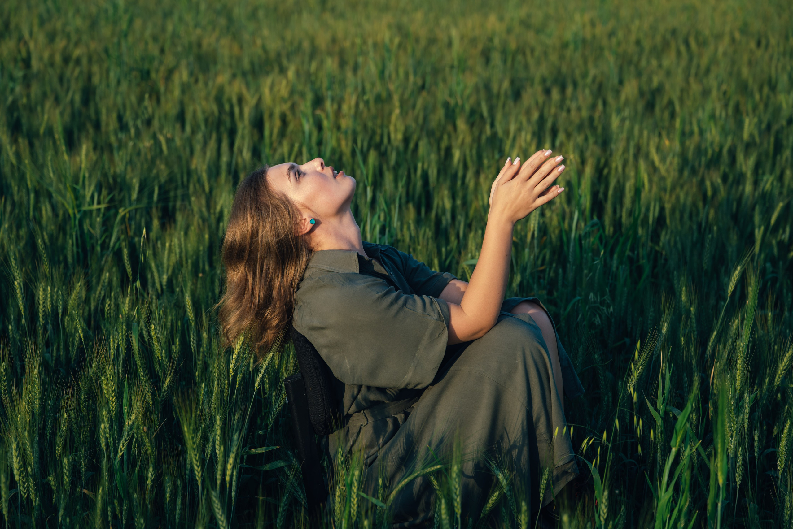 An Evening in the Field. Anna Lobanova | Photographer