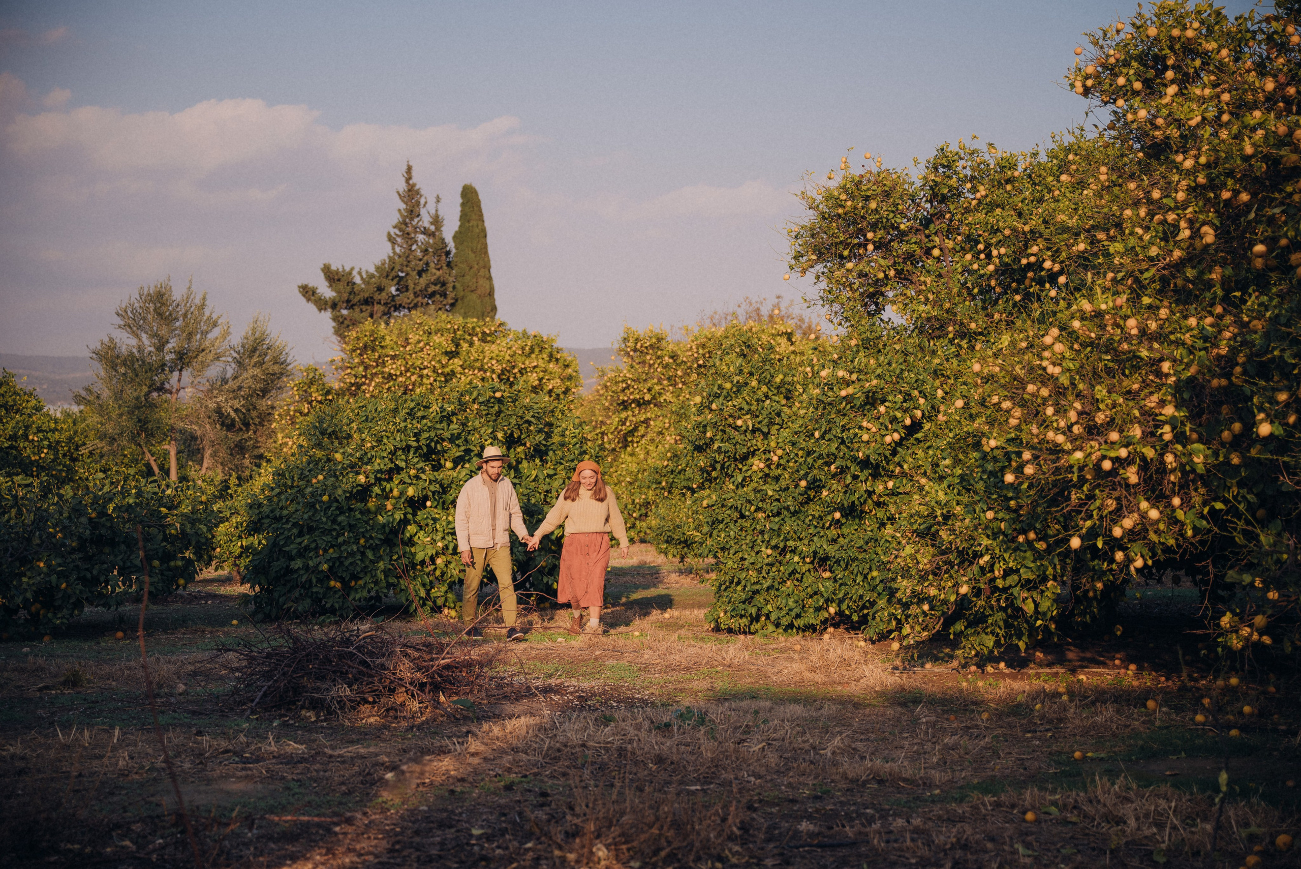 Сбор урожая. Анна Лобанова | фотограф