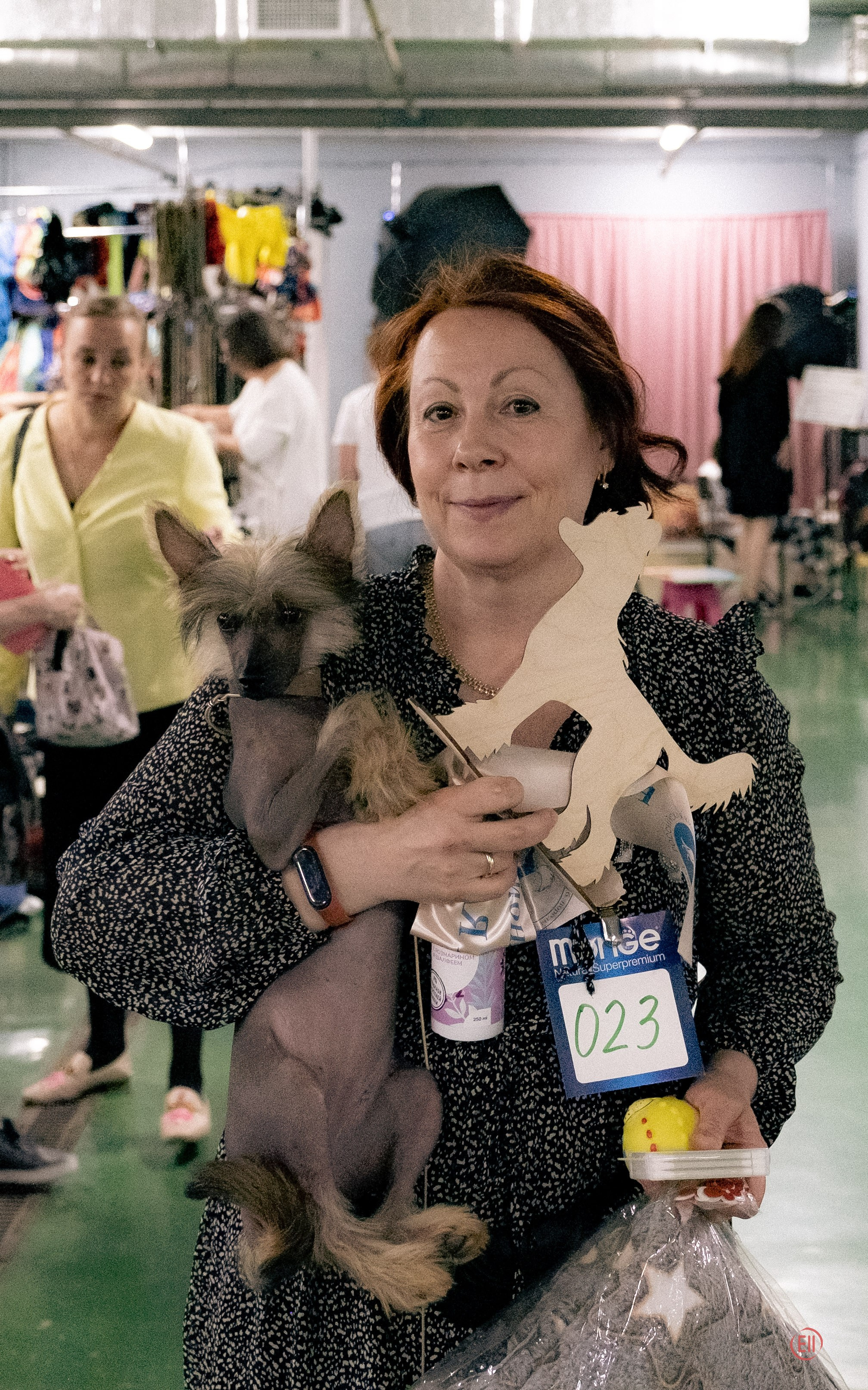 Национальная выставка китайских хохлатых собак 2023. Питомник китайских хохлатых собак Poale Ell: купить щенка