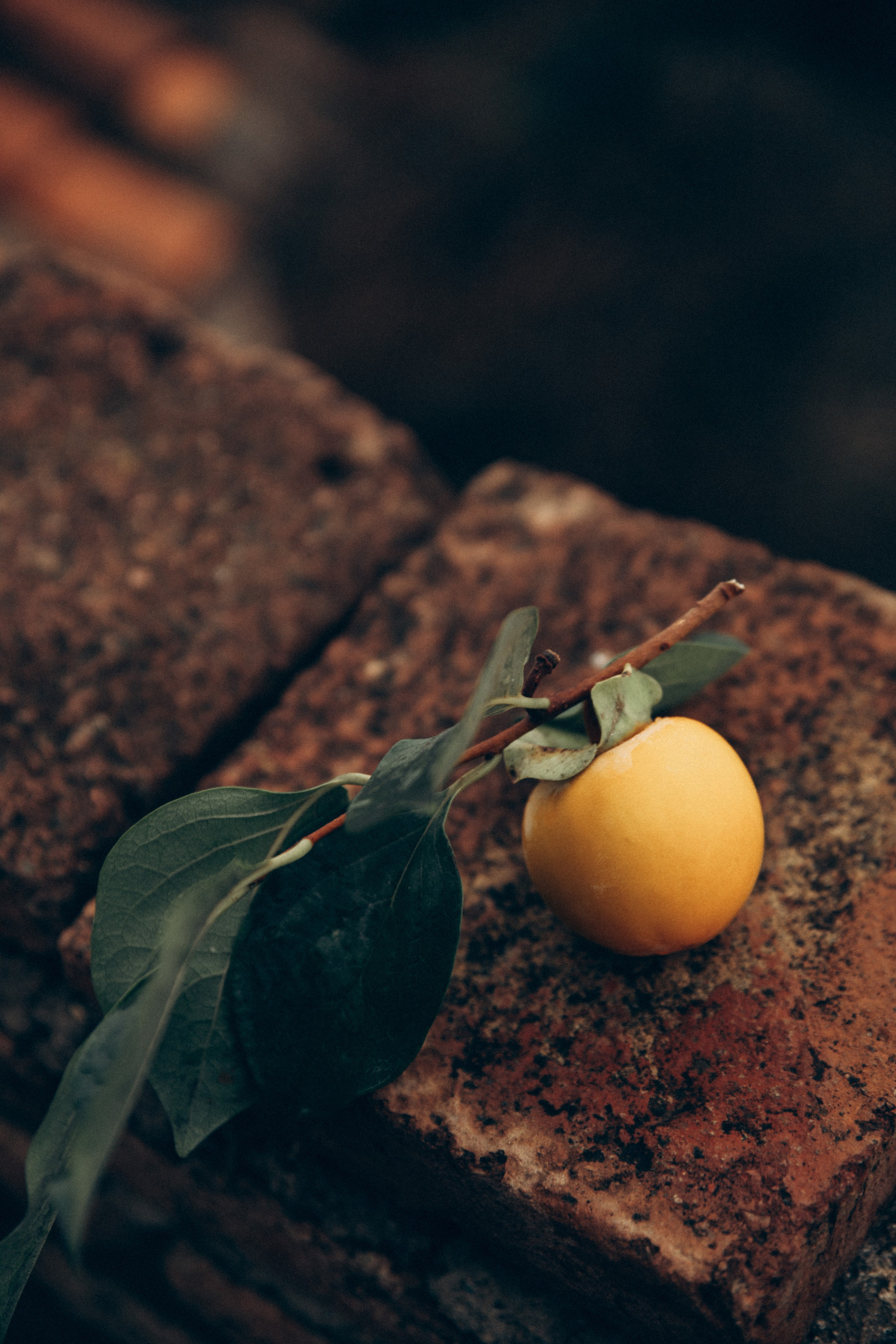 Грузия. Репортажный и детский фотограф в Минске