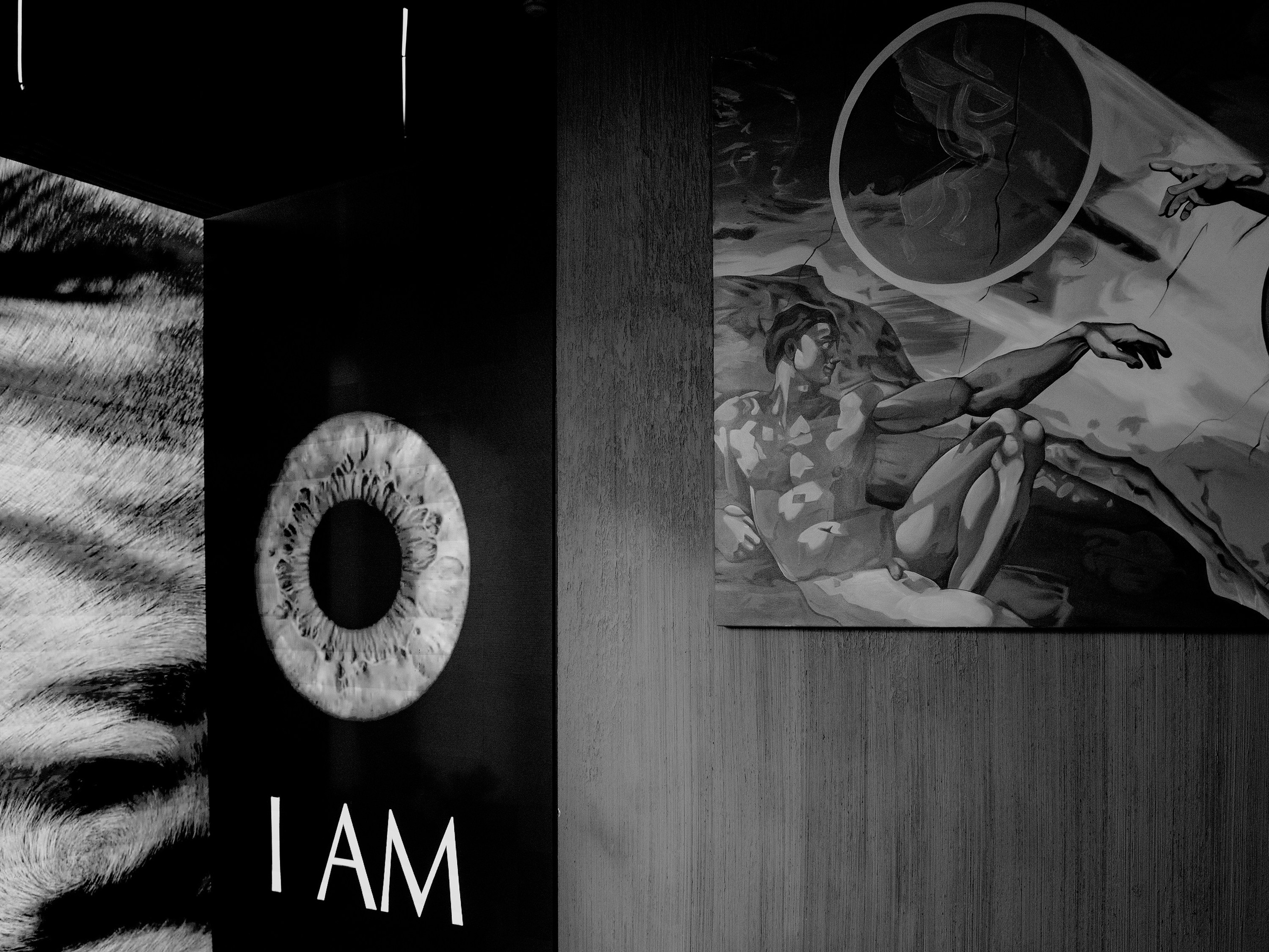 ДР Настя. Фотограф на мероприятие