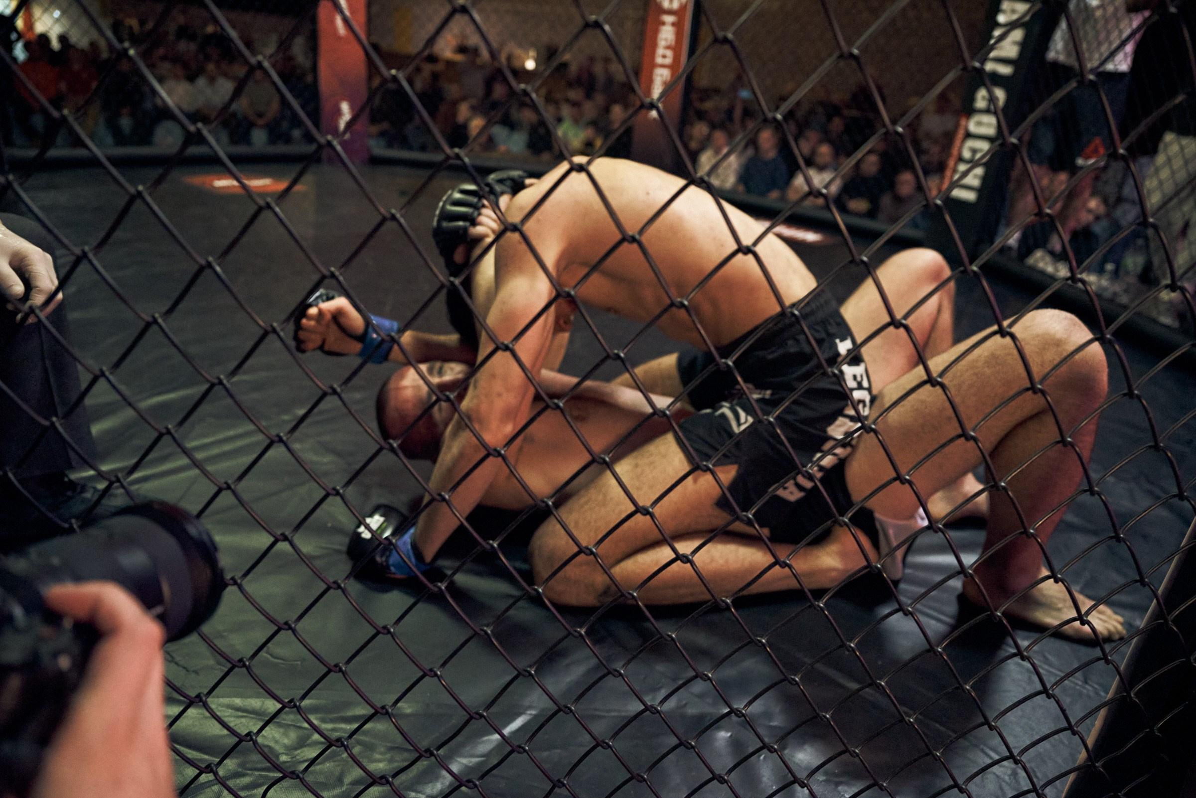 Бои. Маляревич Дмитрий свадебный фотограф