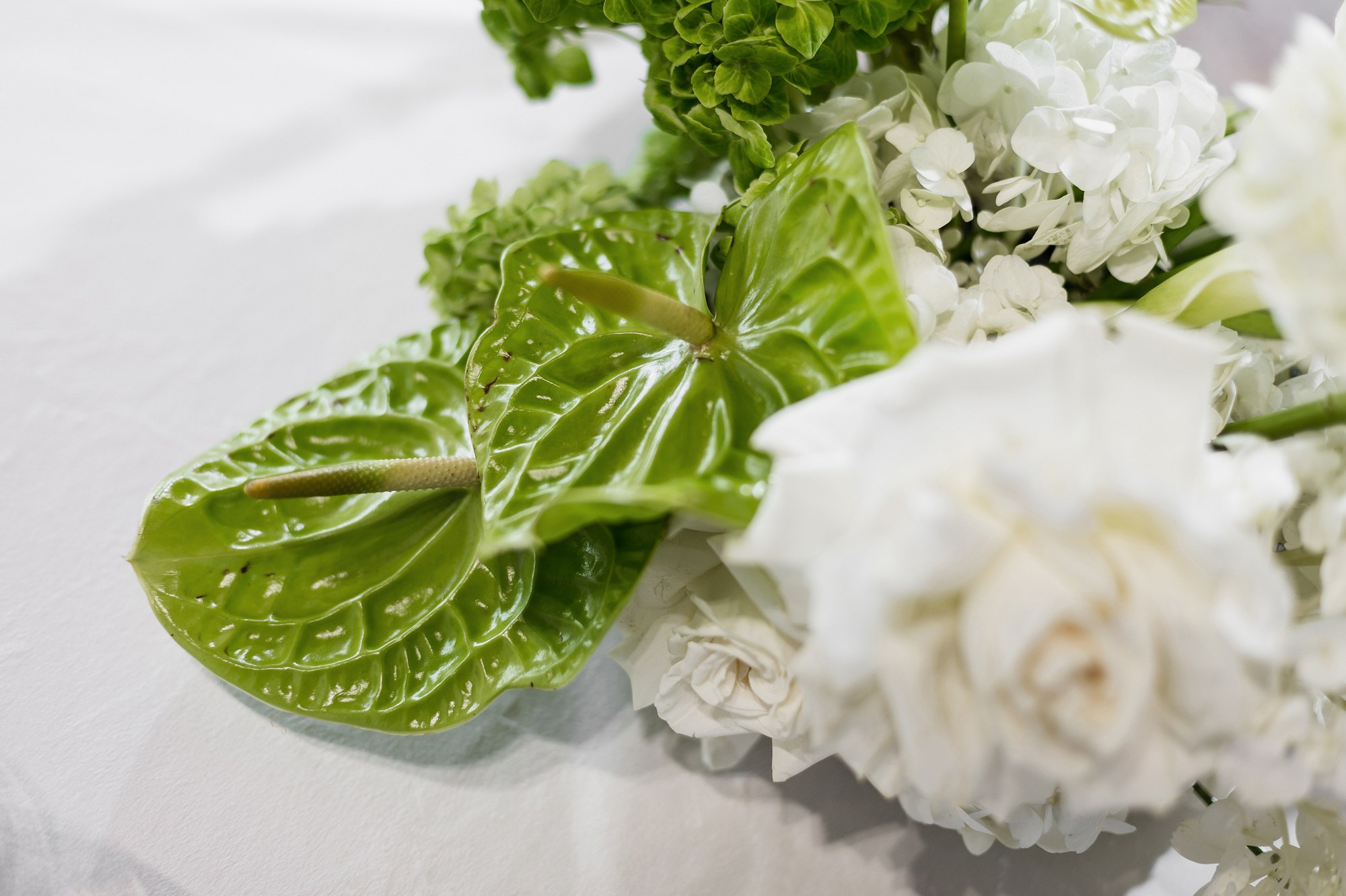 Royal Beach. Свадебный фотограф в Санкт-Петербурге Наталья Вендт