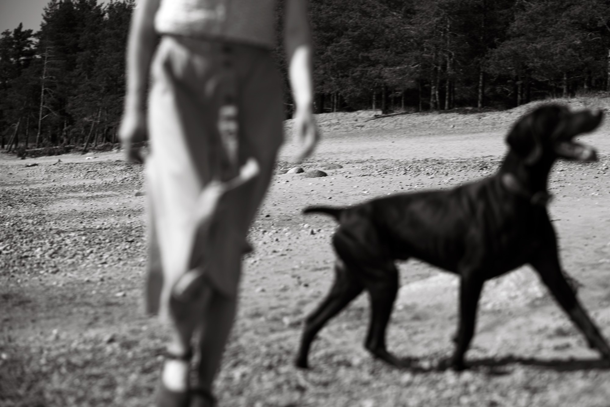 Портретная съемка, портрет девушки, фотография, фотограф спб, портретный фотограф спб, студийная съемка, съемка в студии, профессиональный фотограф, фотосессии дома, фотосессия с девушкой, домашние съемки, фотосессия с парнем, конная фотография, съемка с собакой, lifestyle фотография, фотограф спб, питер фотограф, лавстори, лайфстайл, съемка с питомцем, финский залиф, фото на заливе, фотосессия на заливе