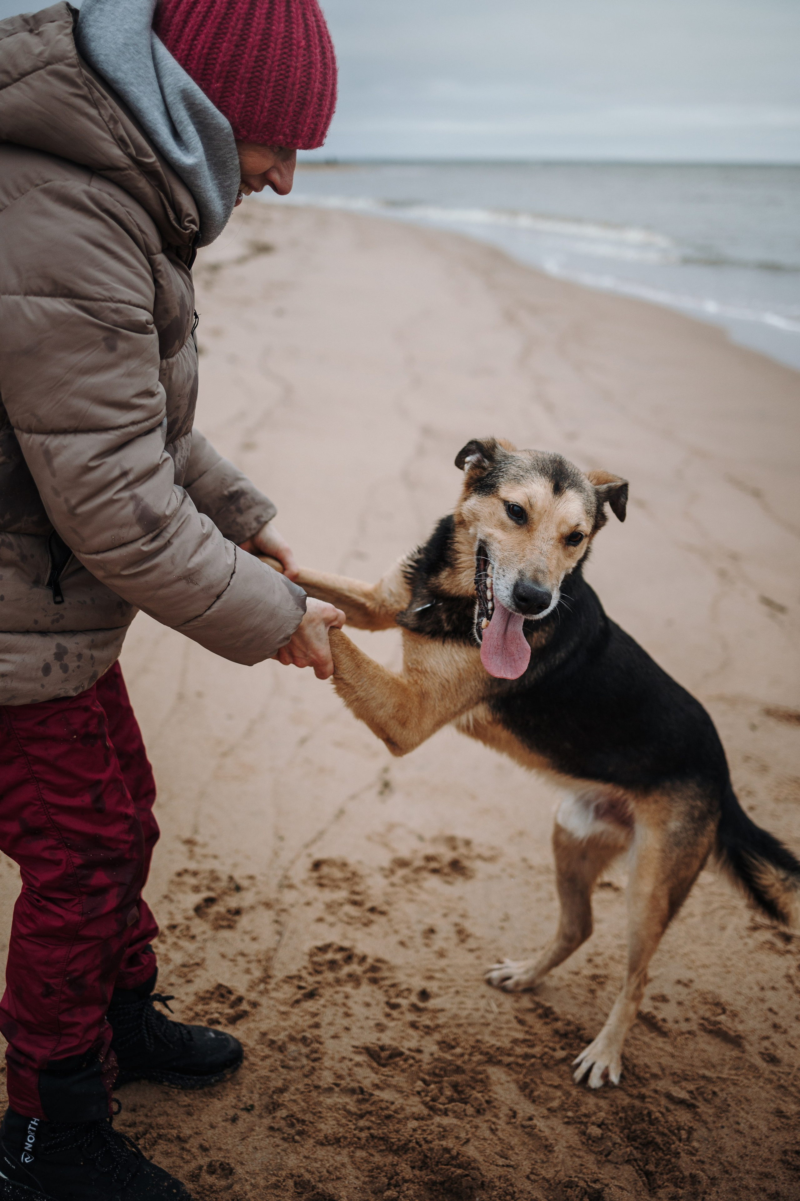 Наталья и Того. Фотограф — Анималист | Санкт-Петербург