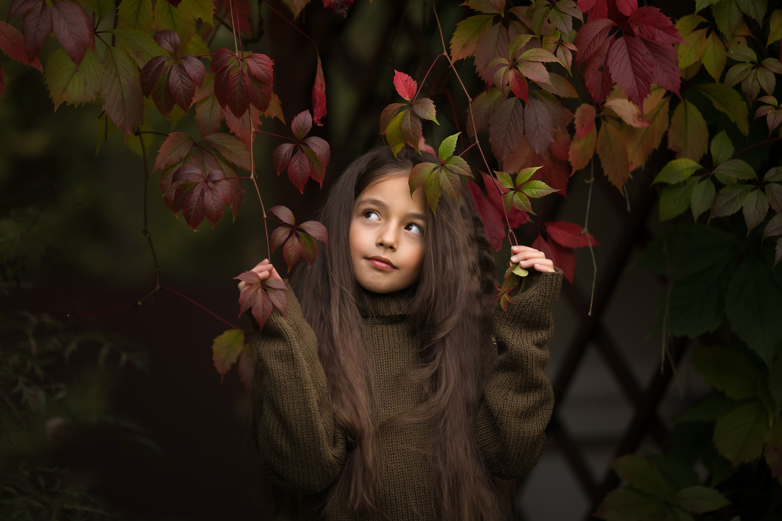 Сказочная осень. Главная