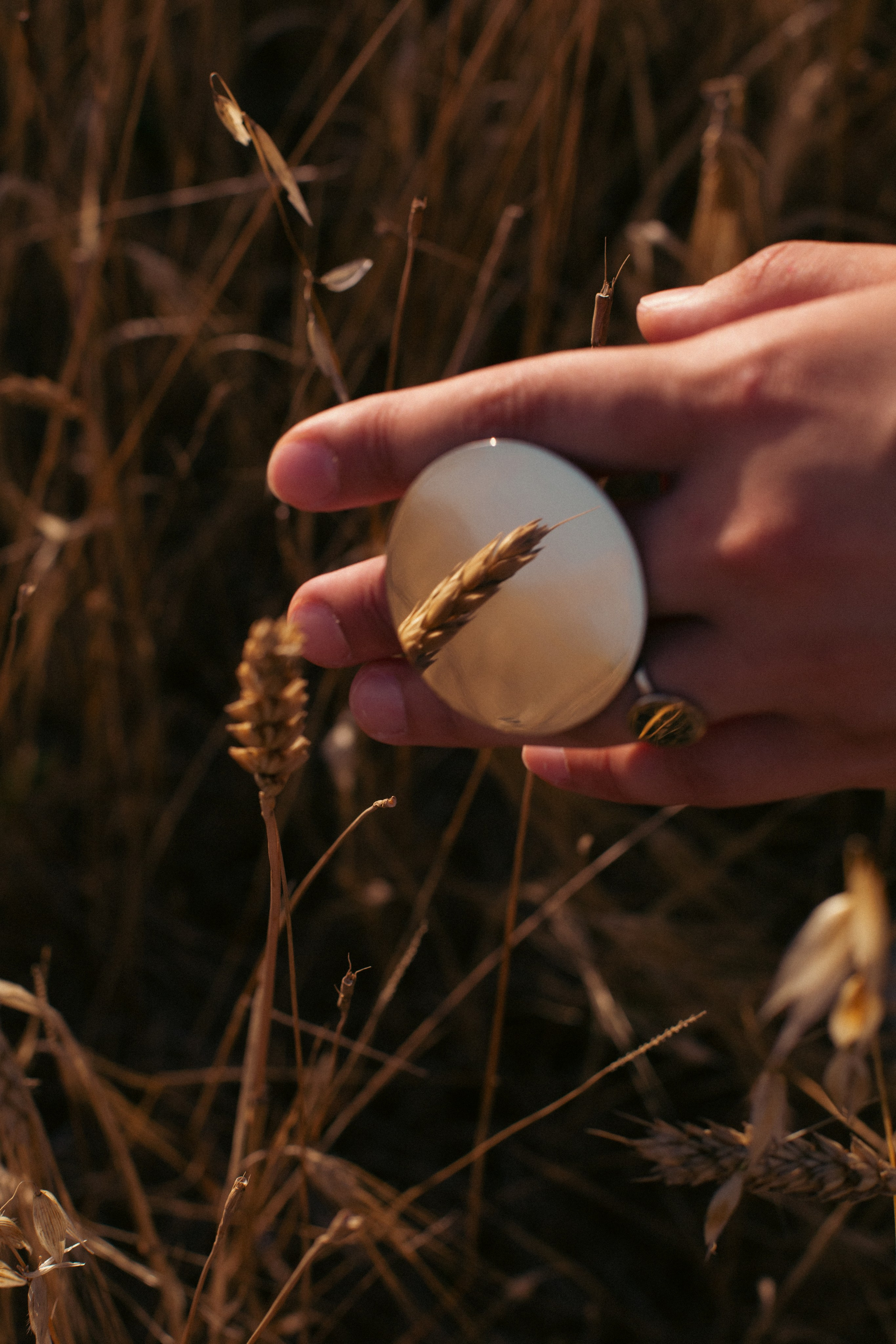 Sultaniye. Beye Shevkiyeva Photography